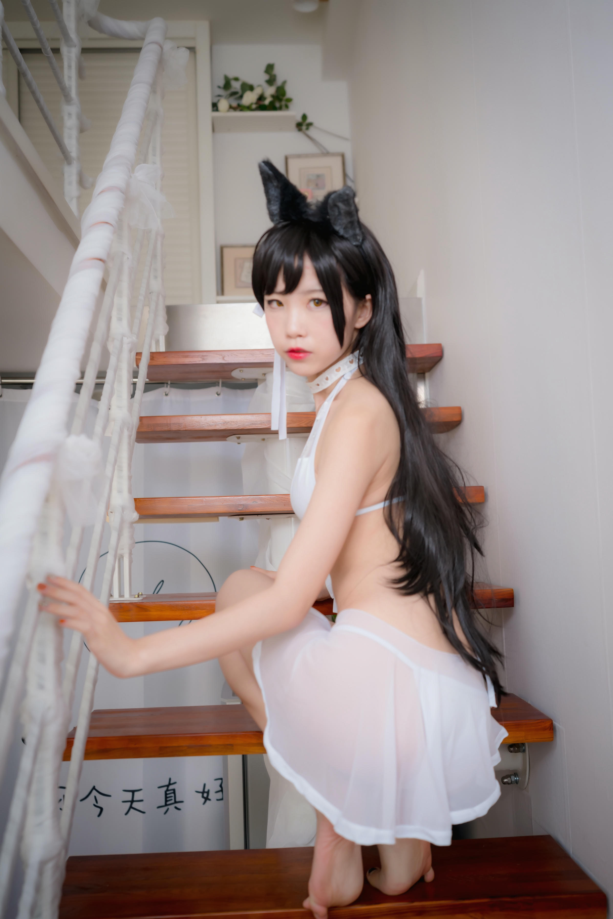 水淼 NO.006 爱宕犬 水着 [22P-208MB]_第2集
