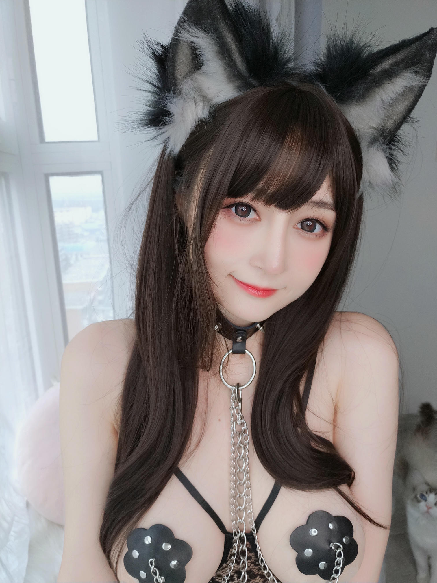 白银81 NO.089 fantia11月合集 [214P11V-1.18GB]-【20211109】可愛い犬_第1集