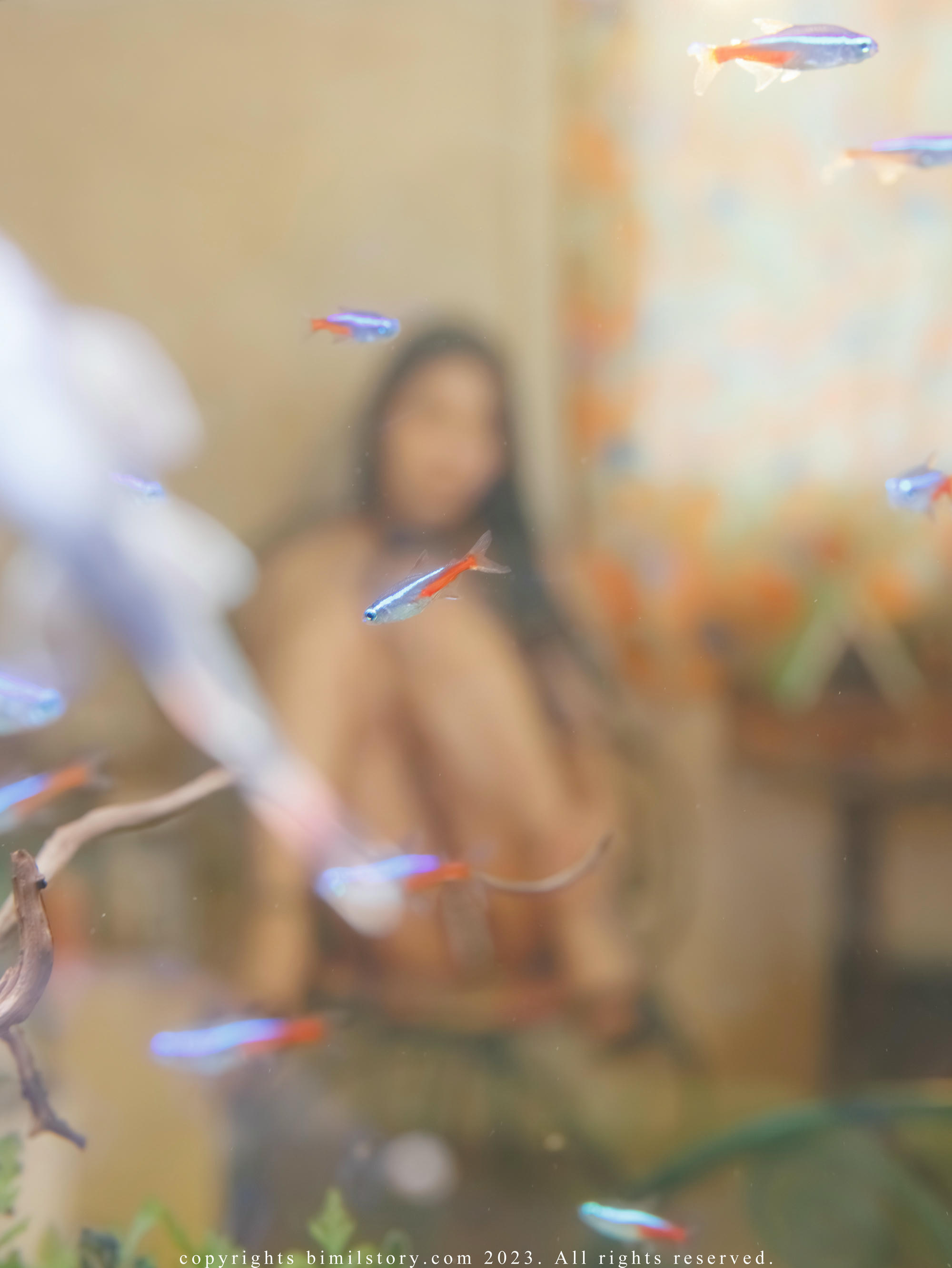 Bomi (보미) NO.094 Bimilstory Vol.31 Fantasy  bondage [112P+3V／5.67GB]_第3集
