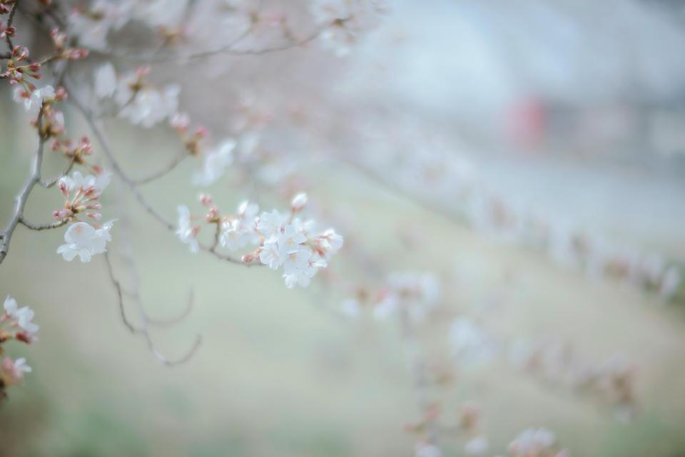 ElyEE子 NO.122 Sakura [64P-173M]_第3集