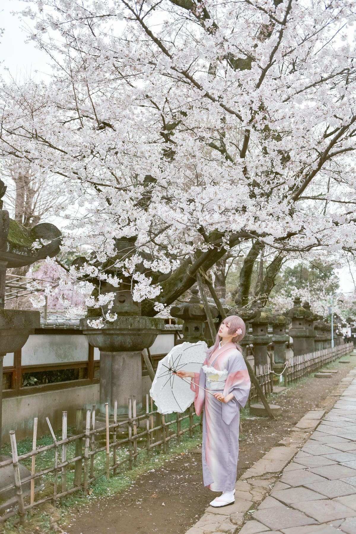 ElyEE子 NO.122 Sakura [64P-173M]_第3集