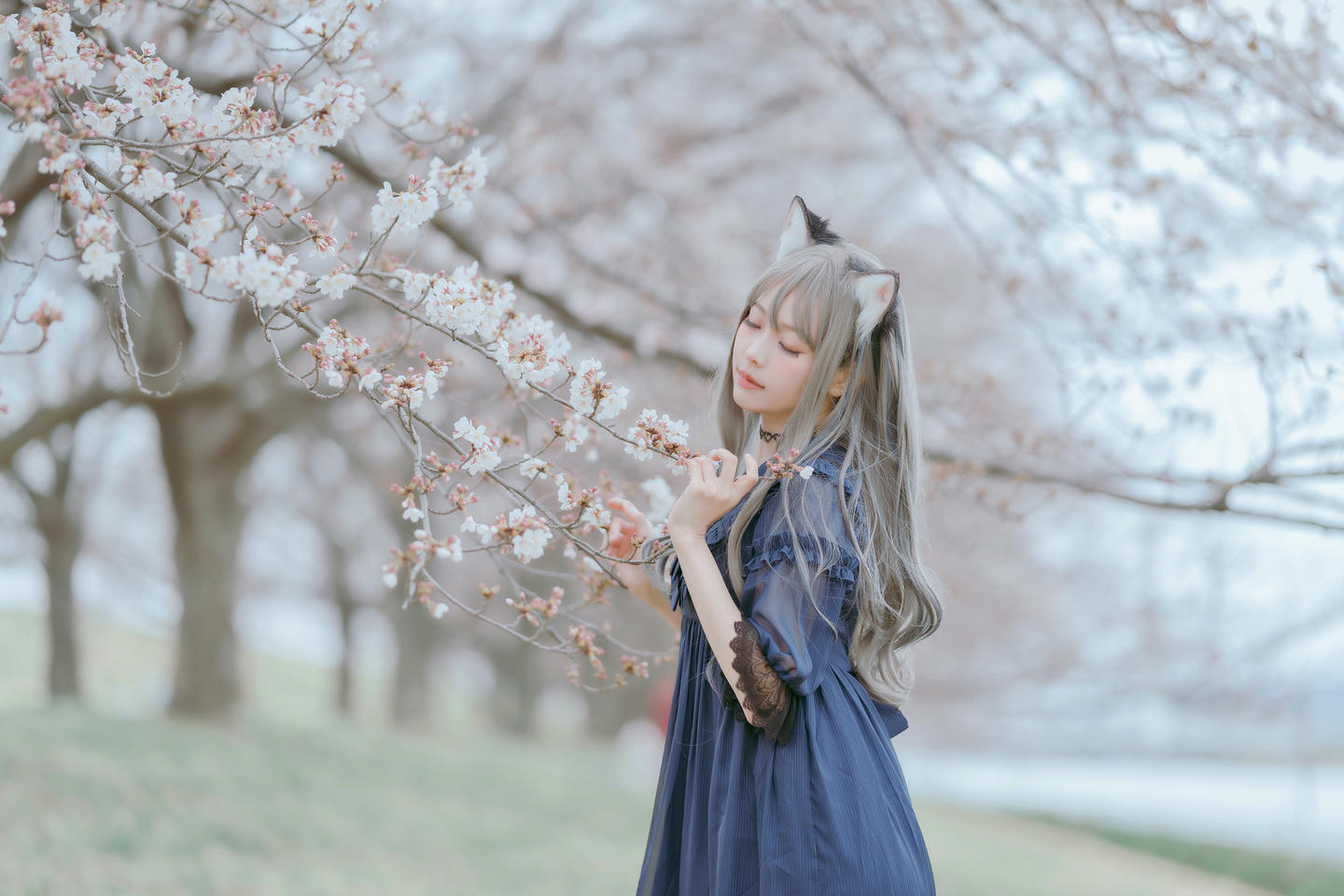 ElyEE子 NO.122 Sakura [64P-173M]_第1集