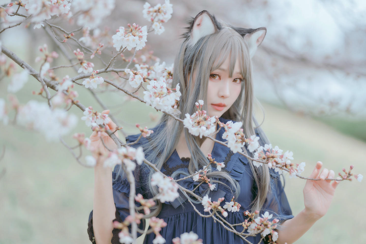 ElyEE子 NO.122 Sakura [64P-173M]_第1集