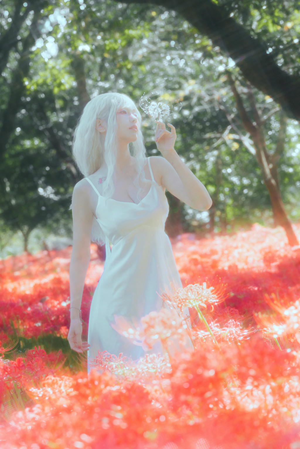ElyEE子 NO.136 23年10月订阅 [86P2V-302MB]-B-White spider lily 白瓷彼岸 [27P-83MB]_第1集