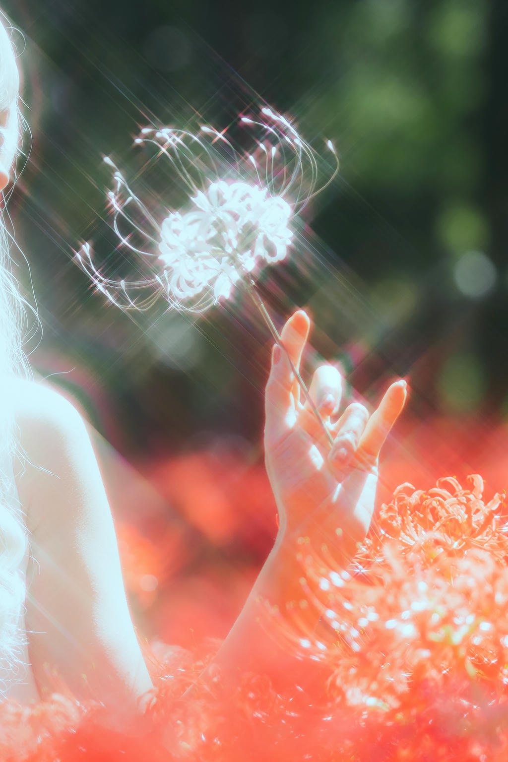 ElyEE子 NO.136 23年10月订阅 [86P2V-302MB]-B-White spider lily 白瓷彼岸 [27P-83MB]_第2集