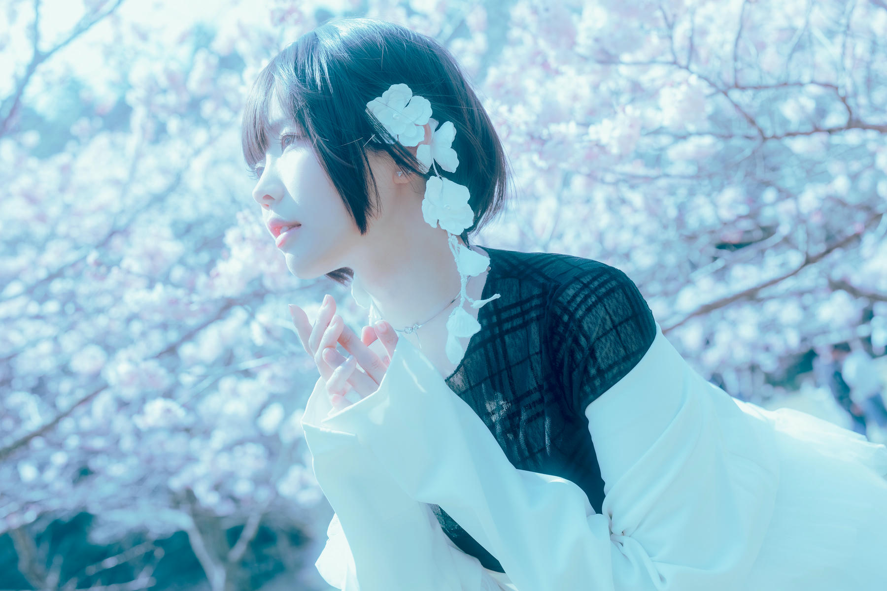 ElyEE子 NO.143 April-Tier 3 [113P5V 424MB]-A.17°C Pink Sakura17°C粉櫻_第1集