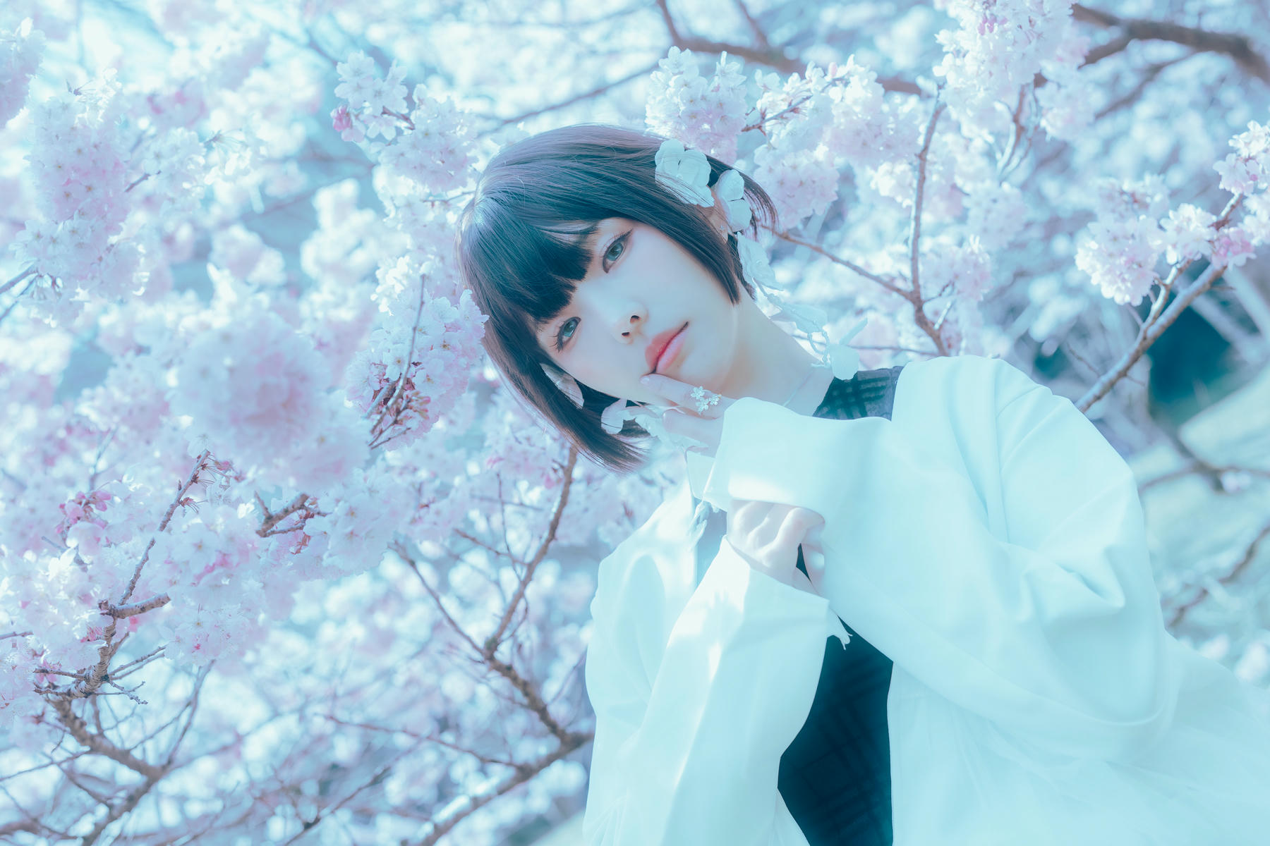 ElyEE子 NO.143 April-Tier 3 [113P5V 424MB]-A.17°C Pink Sakura17°C粉櫻_第2集