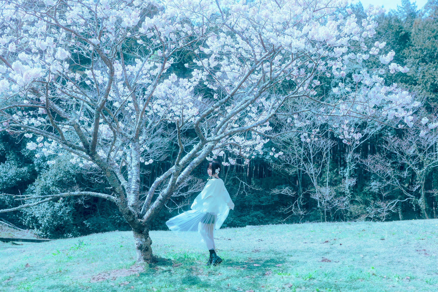 ElyEE子 NO.143 April-Tier 3 [113P5V 424MB]-A.17°C Pink Sakura17°C粉櫻_第2集