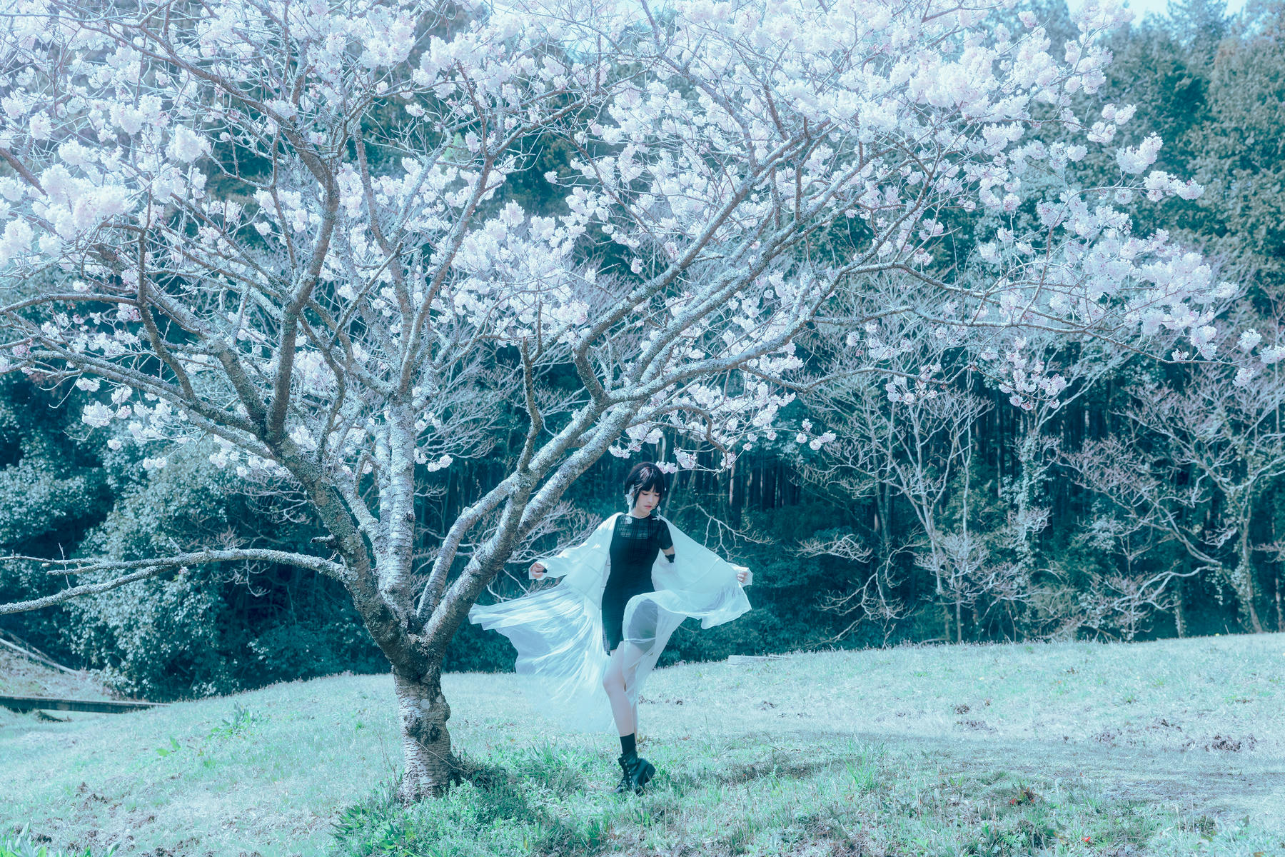 ElyEE子 NO.143 April-Tier 3 [113P5V 424MB]-A.17°C Pink Sakura17°C粉櫻_第2集