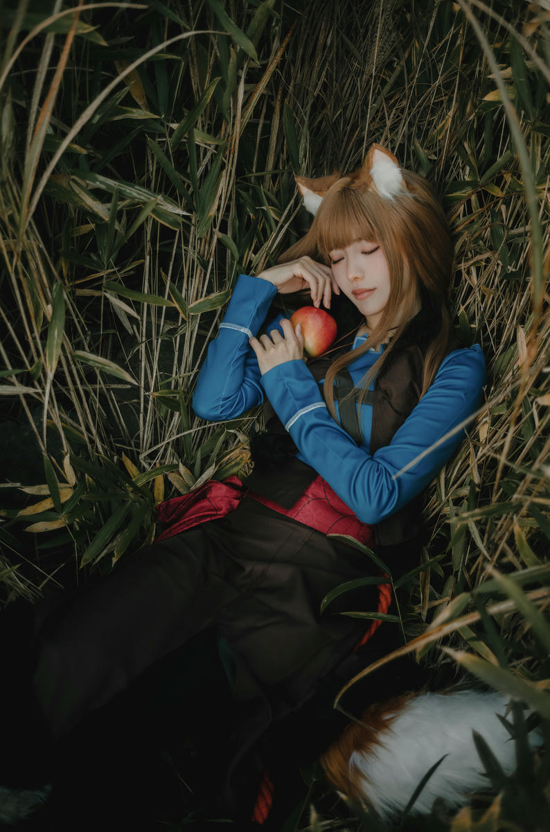 ElyEE子 NO.160 2024年12月订阅 (3套)[129P7V 552M]-B-Soft Glow狼與暖陽 [52P 1V]_第3集