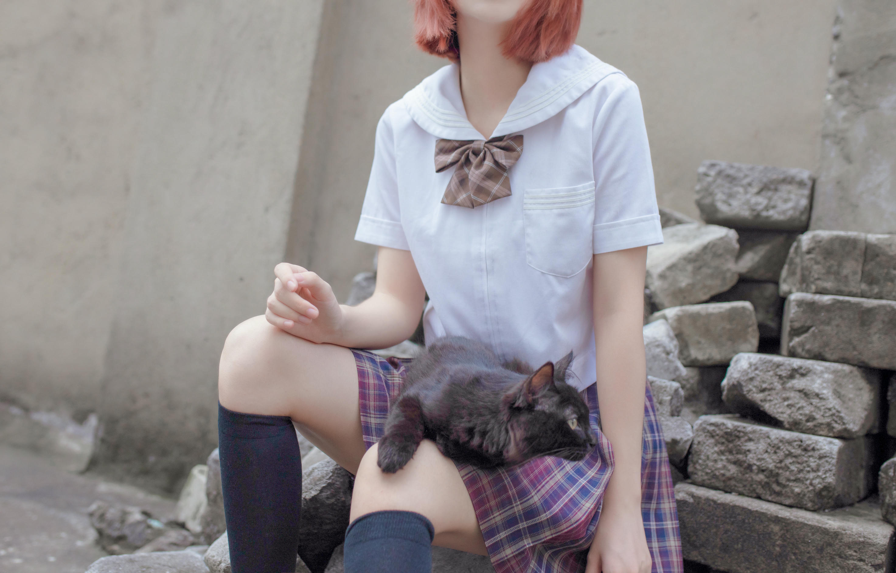 疯猫ss NO.046 和猫 [18P-252MB]_第1集
