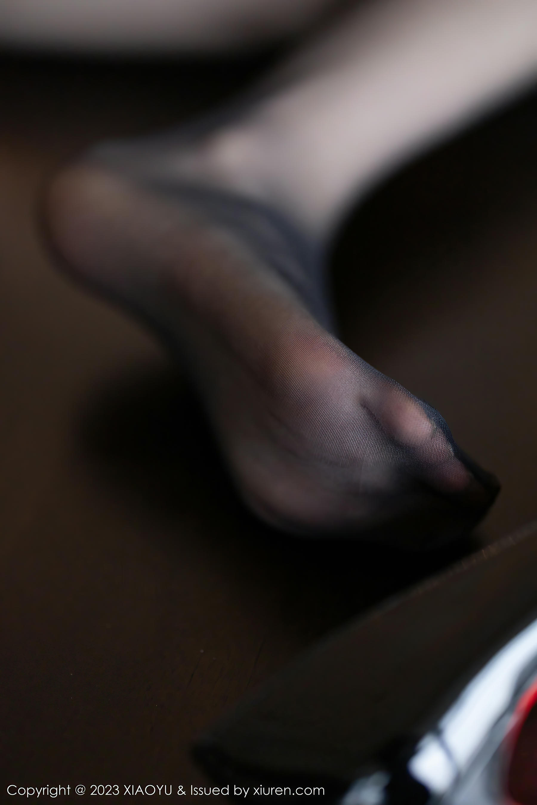 XIAOYU语画界 2023.04.04 VOL.1000 林星阑 [87+1P645M]_第2集