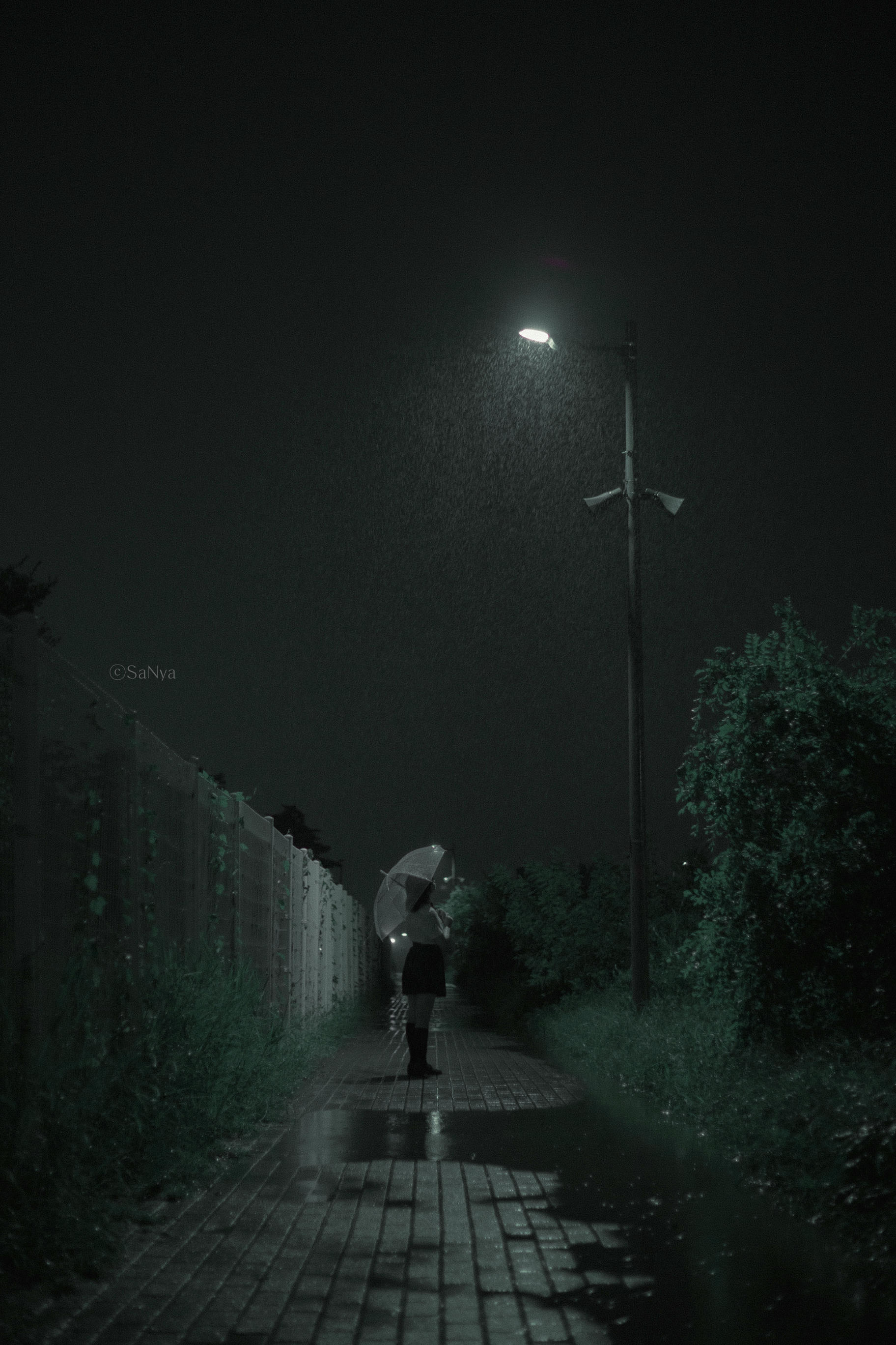 韩国美女-Mimmi NO.024 Tinnitus [33P 363MB]_第1集