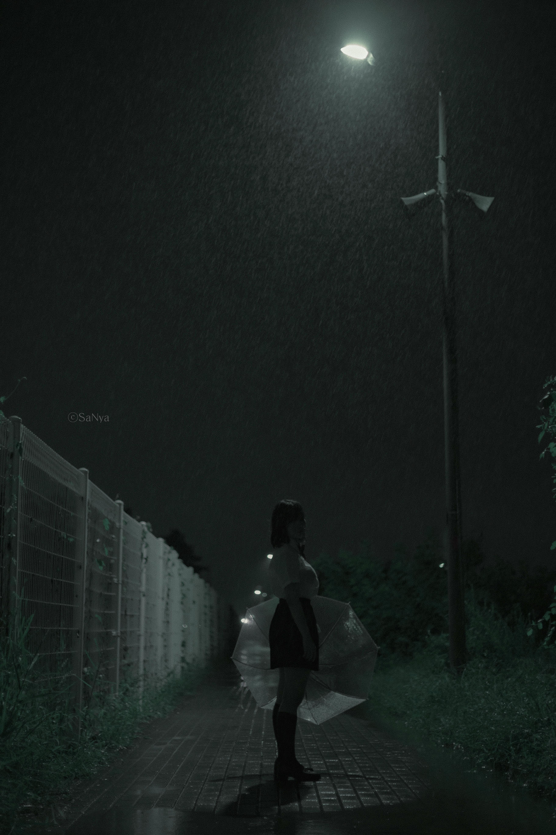 韩国美女-Mimmi NO.024 Tinnitus [33P 363MB]_第1集
