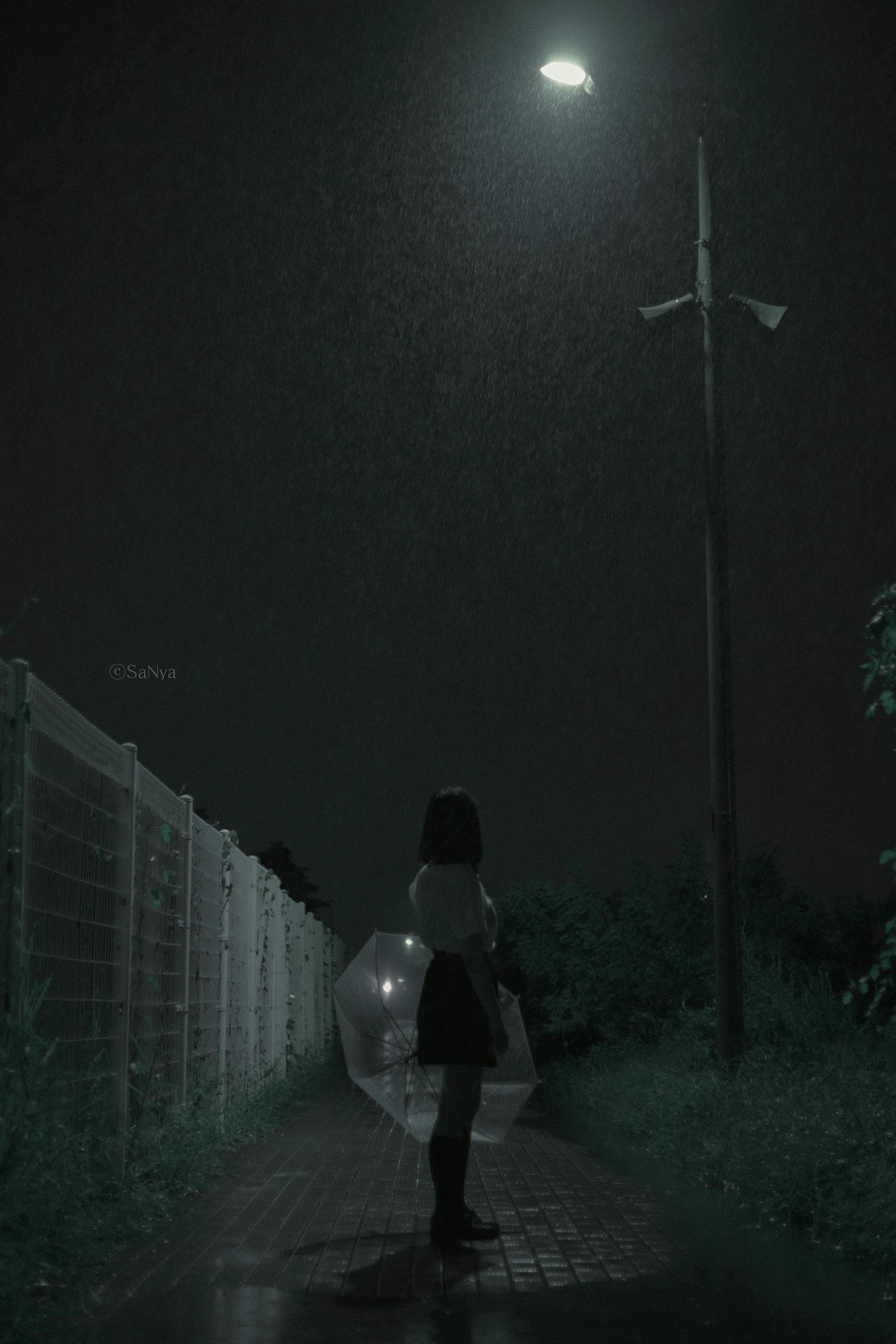 韩国美女-Mimmi NO.024 Tinnitus [33P 363MB]_第1集