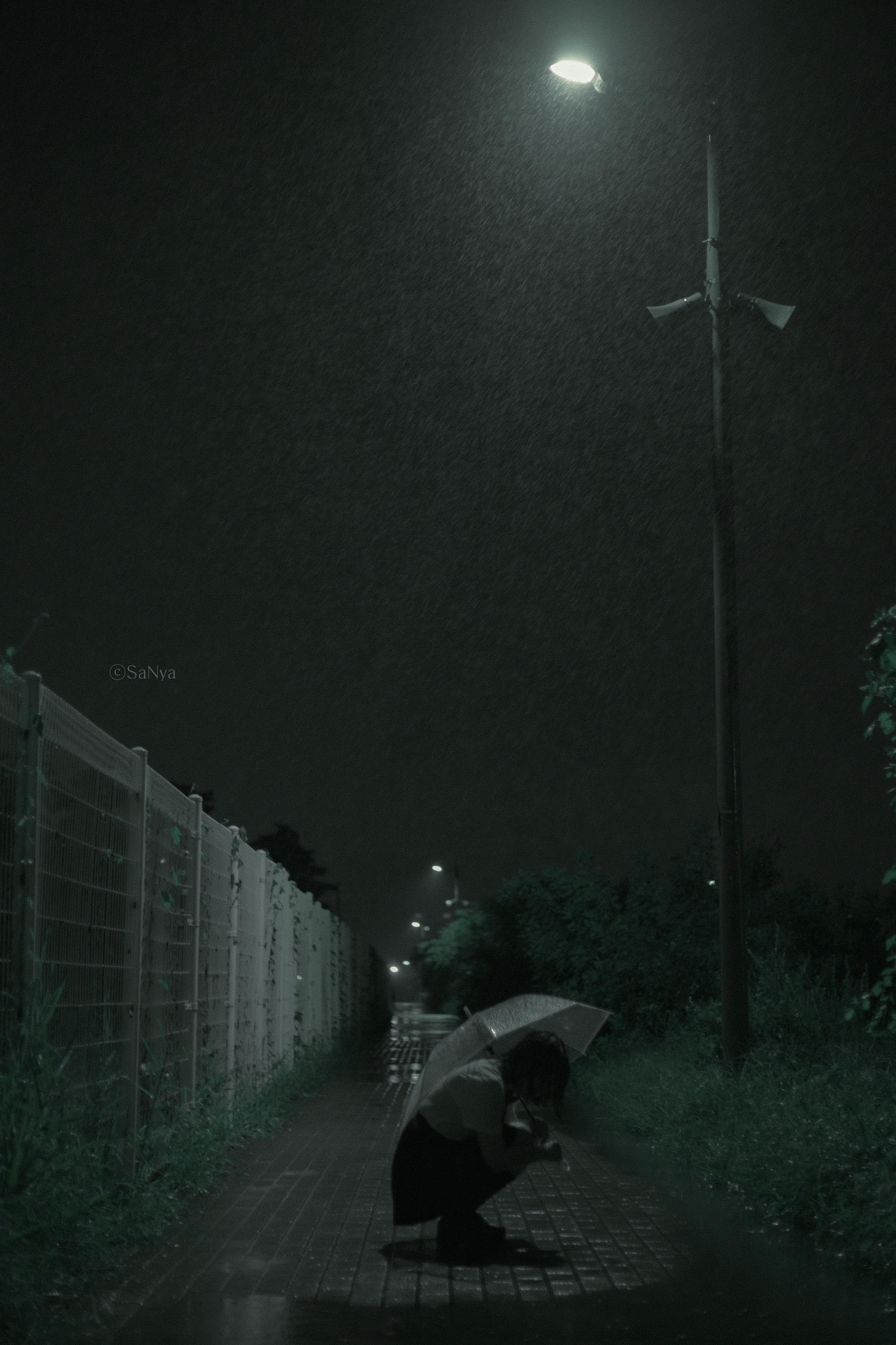 韩国美女-Mimmi NO.024 Tinnitus [33P 363MB]_第1集