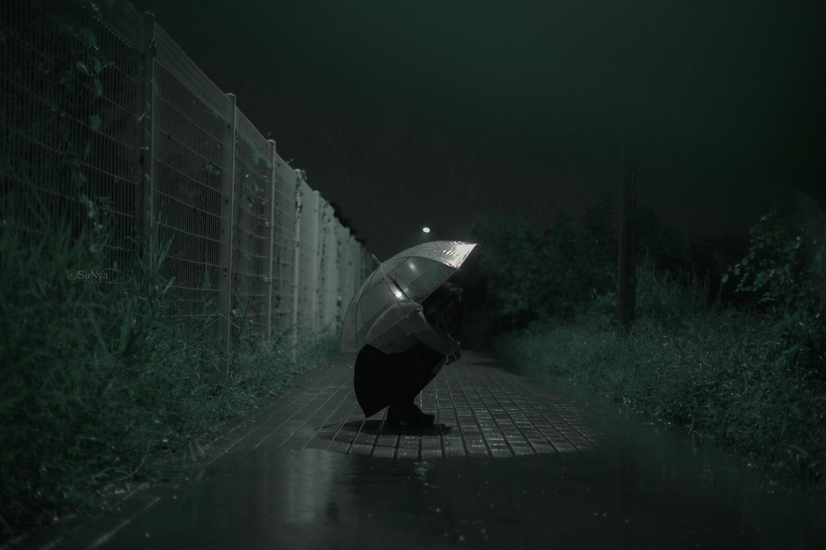 韩国美女-Mimmi NO.024 Tinnitus [33P 363MB]_第1集