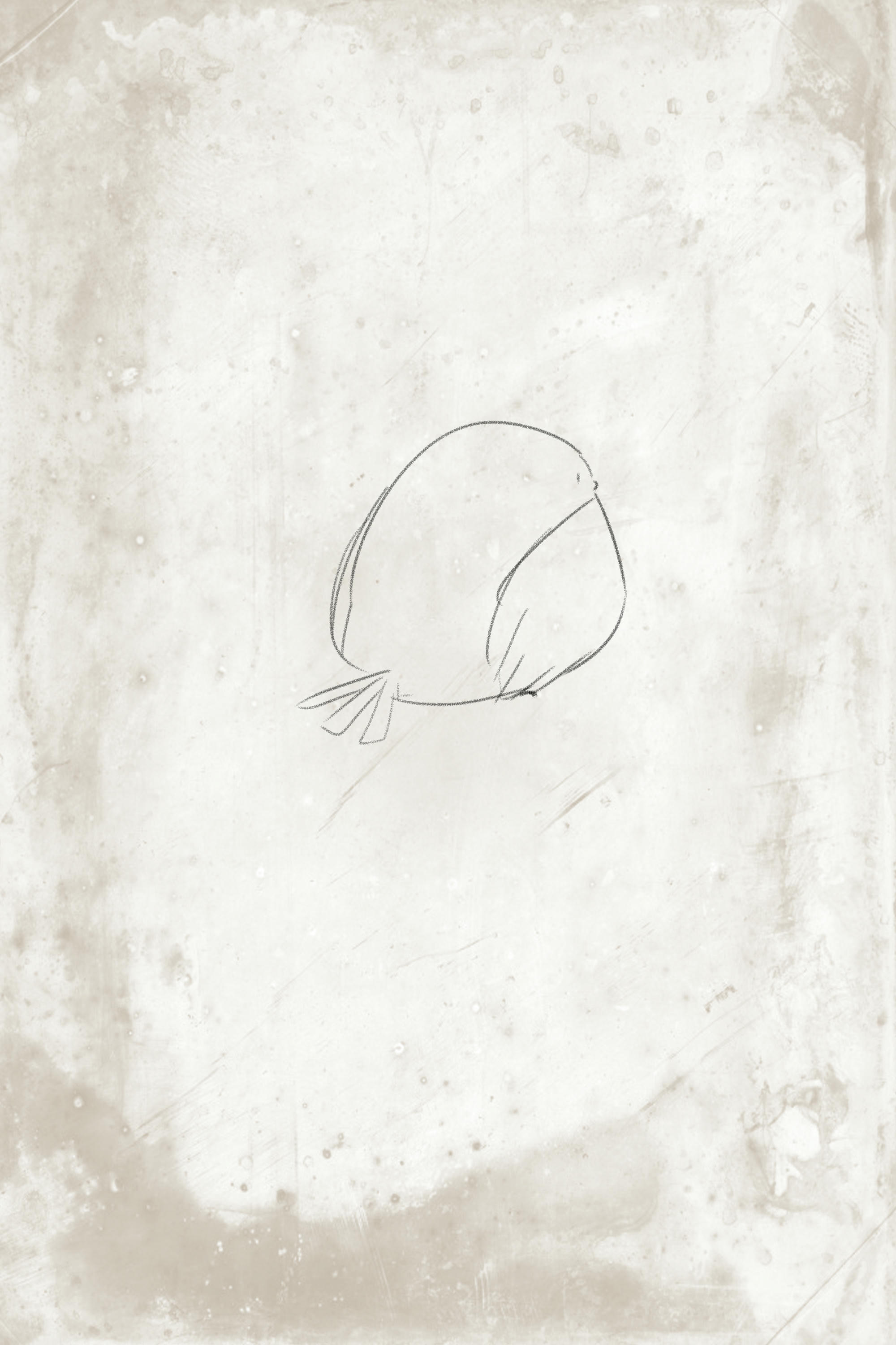 韩国美女-Mimmi NO.039 (밈미) Vol.2 My small bird [135P／1.5GB]_第5集