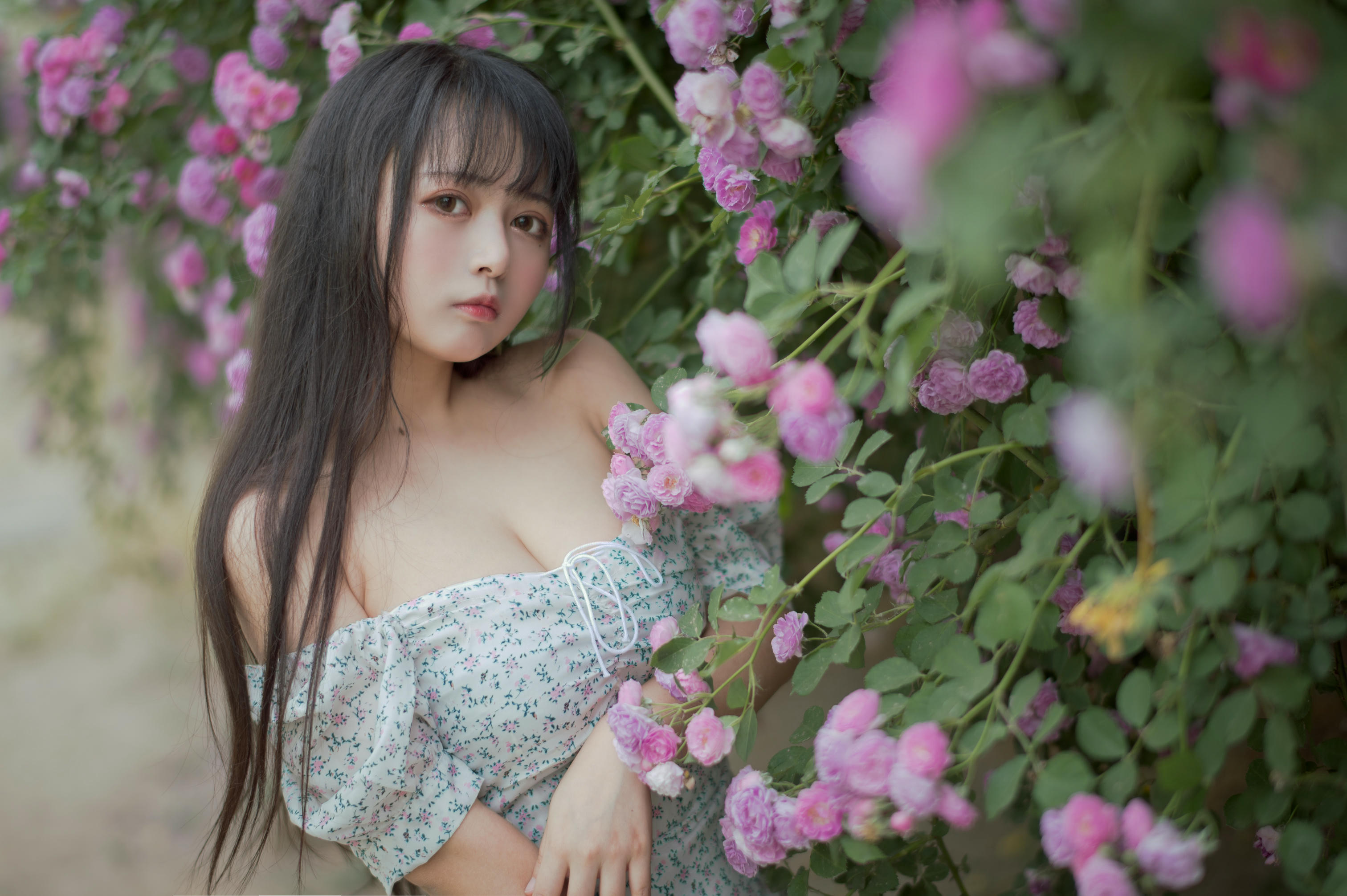 [喵糖映画] VOL.338 蔷薇少女[24P／257MB]_第1集