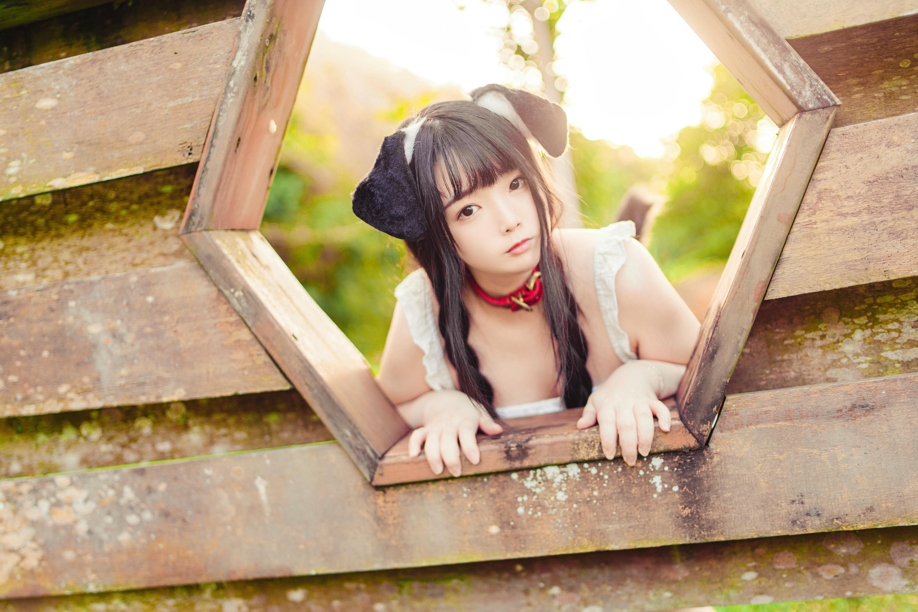 落落Raku NO.033 Your Puppy![49P 424.9M]_第1集
