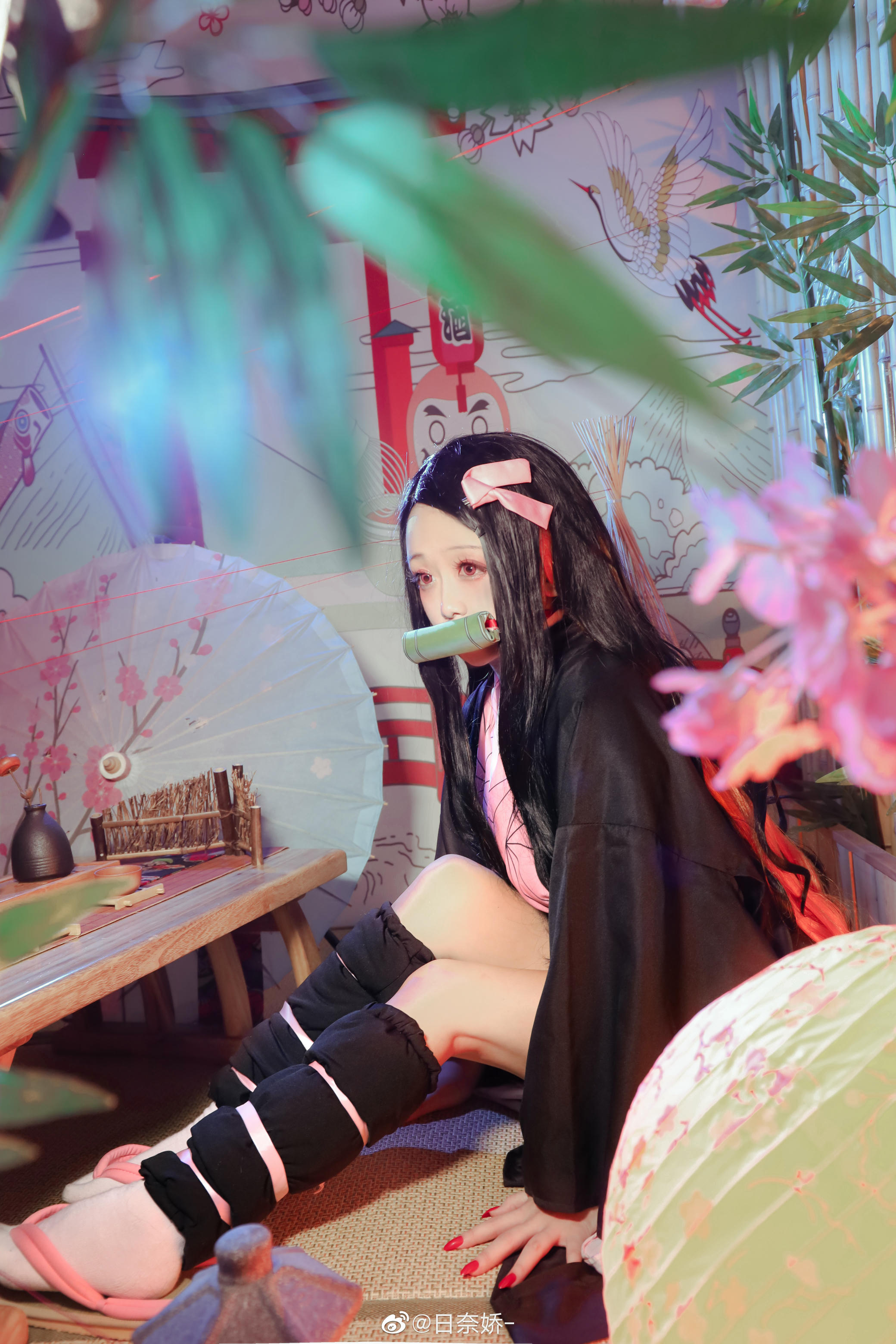 日奈娇 灶门祢豆子_第1集