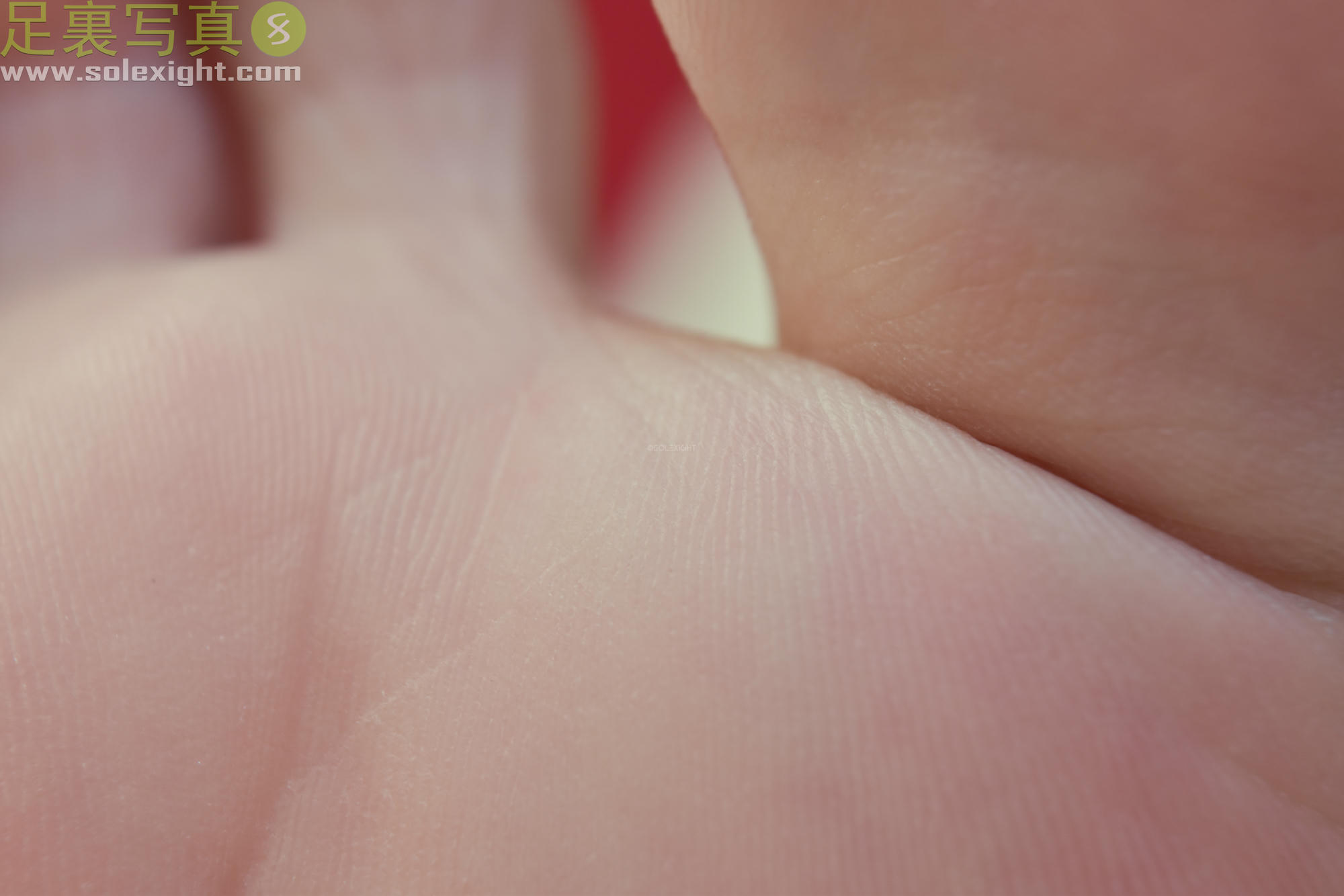 台湾SOLEXIGHT NO.015 Laura (Soles)-Picture（研究生、足底特寫、黑絲足美腿、蓝色指甲）（3000PX-195P）_第6集