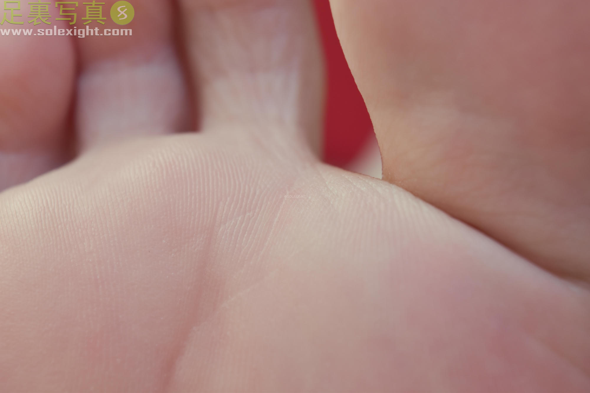 台湾SOLEXIGHT NO.015 Laura (Soles)-Picture（研究生、足底特寫、黑絲足美腿、蓝色指甲）（3000PX-195P）_第6集