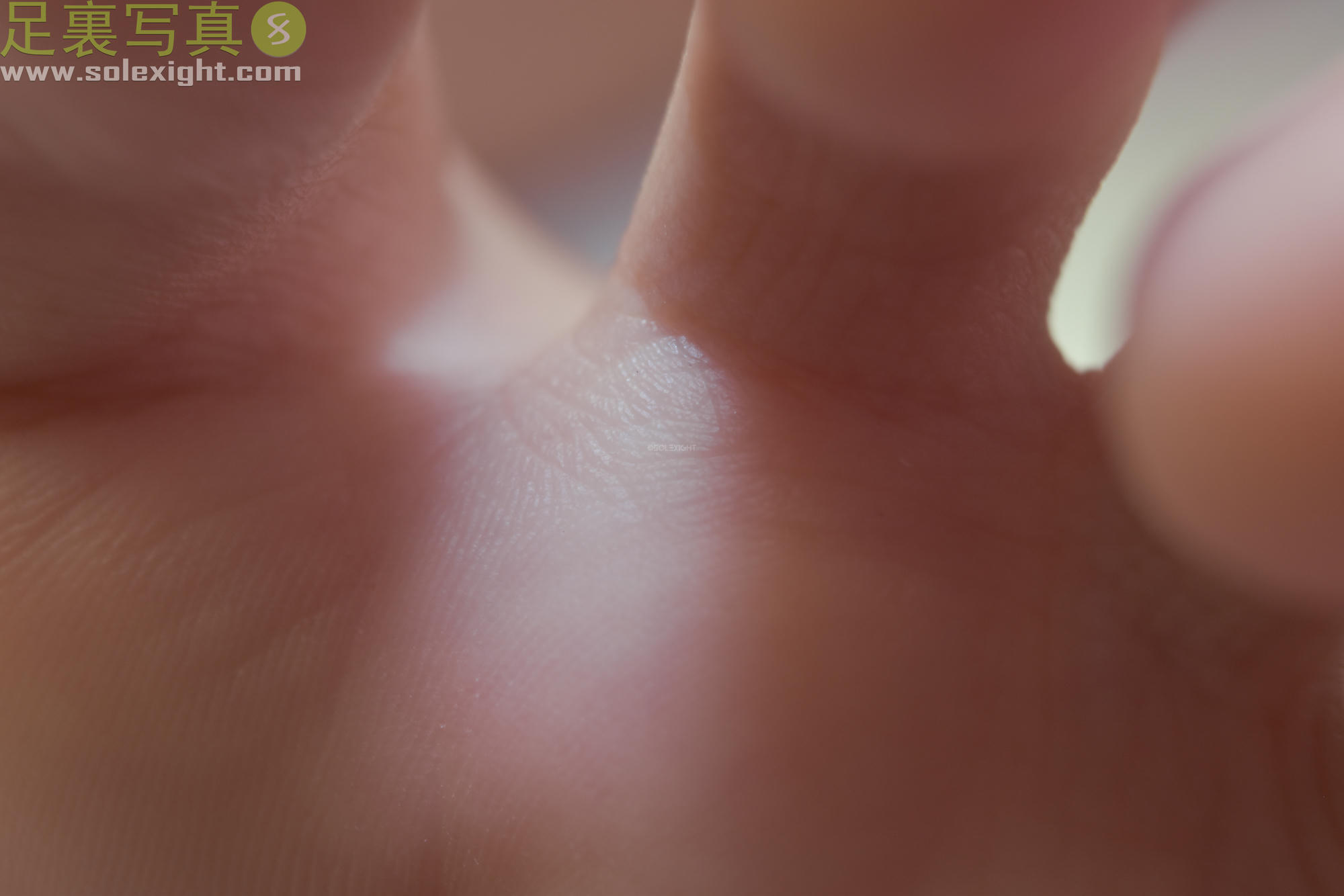 台湾SOLEXIGHT NO.015 Laura (Soles)-Picture（研究生、足底特寫、黑絲足美腿、蓝色指甲）（3000PX-195P）_第6集