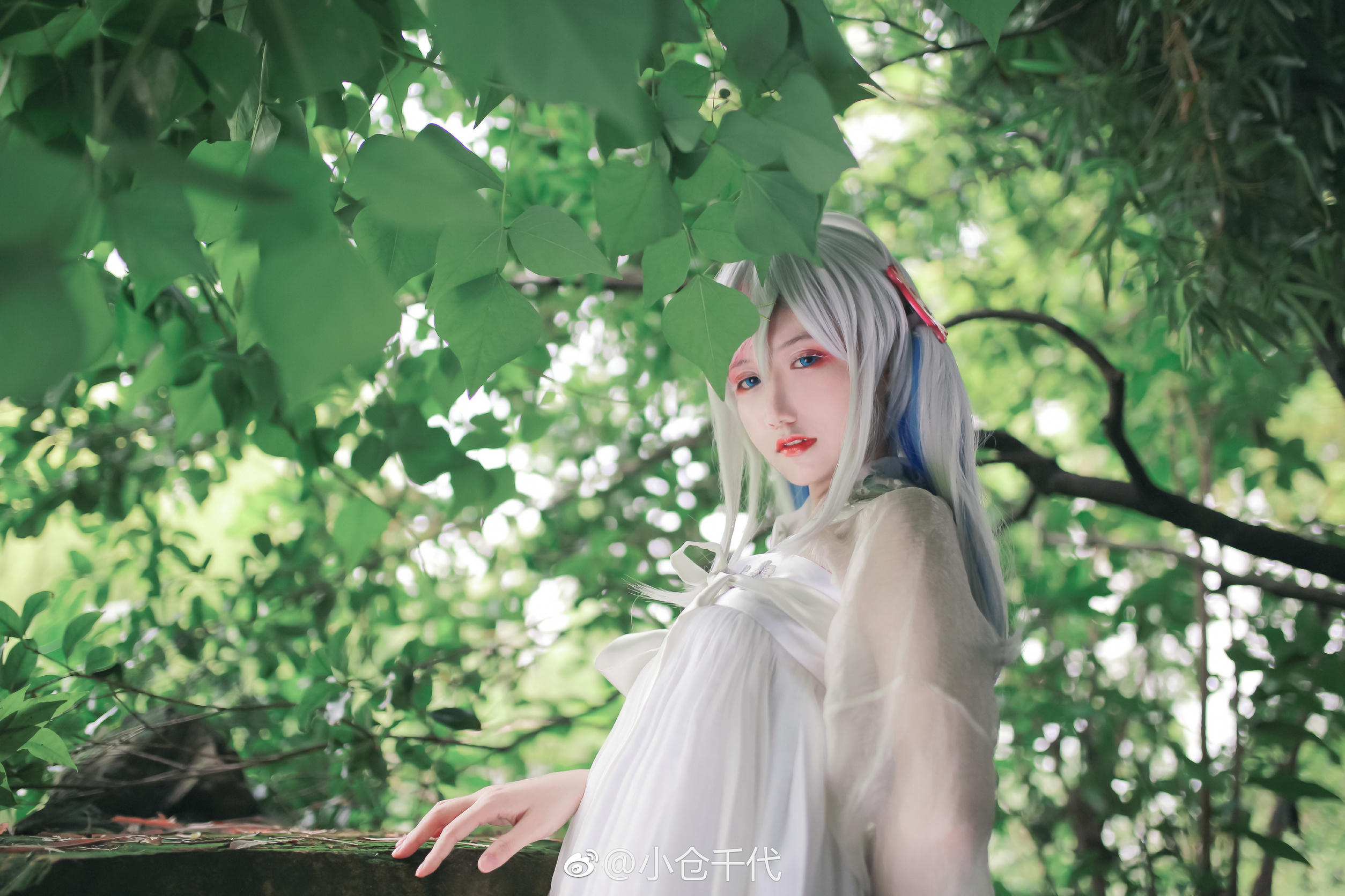 小仓千代w 微博图[354P-1.8GB]-其它 [232P-962M]_第11集