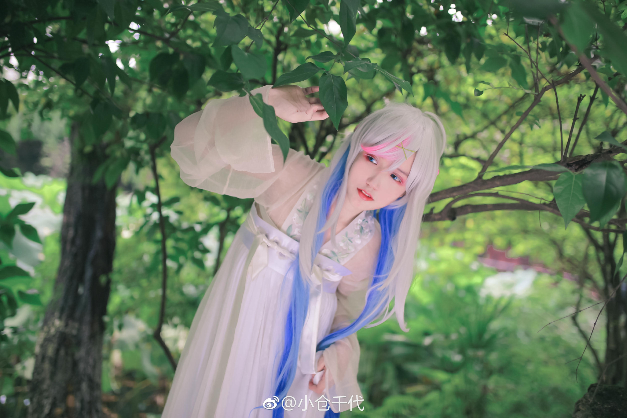 小仓千代w 微博图[354P-1.8GB]-其它 [232P-962M]_第11集