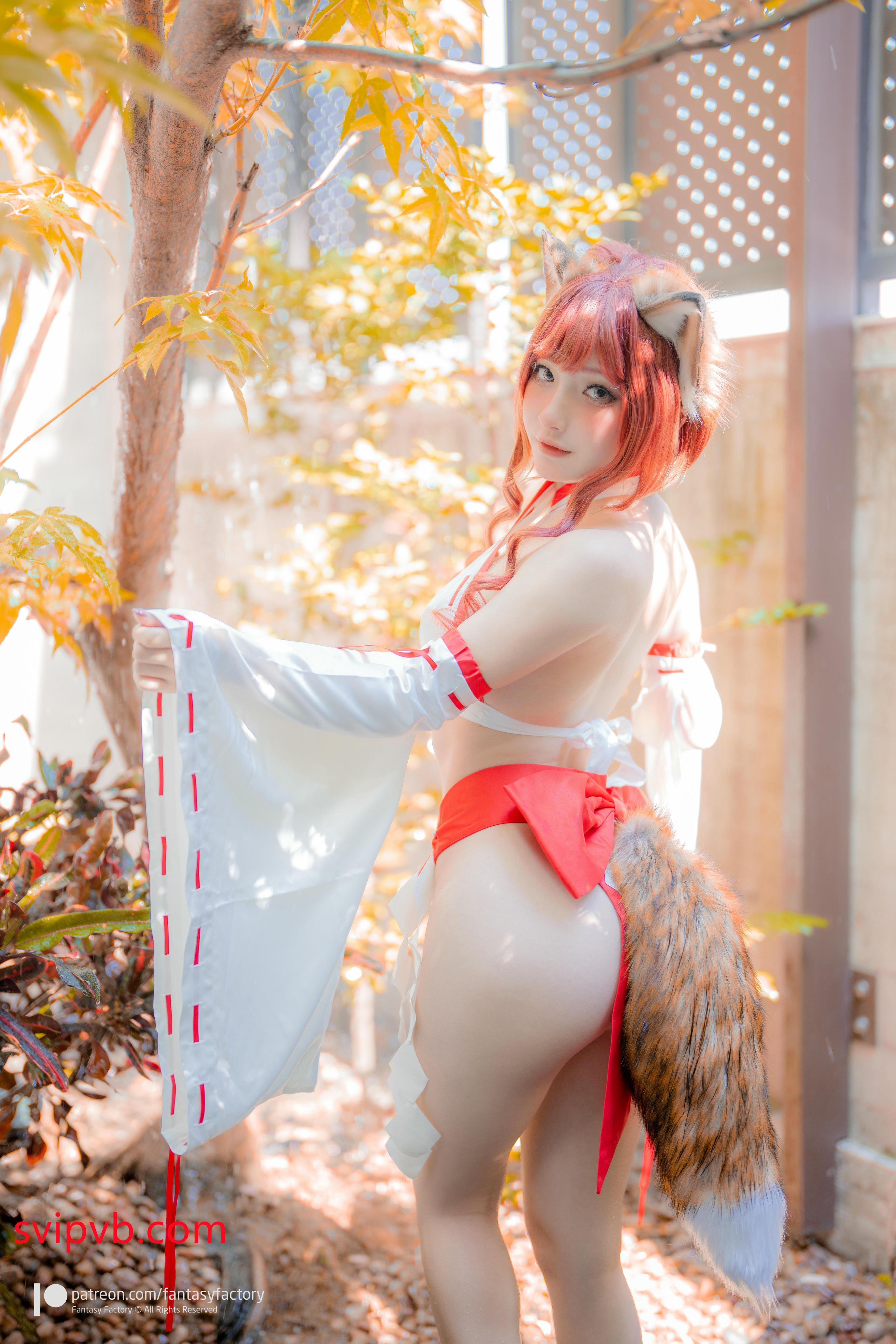 台湾写真模特fantastic小丁-Fox miko__1_第1集