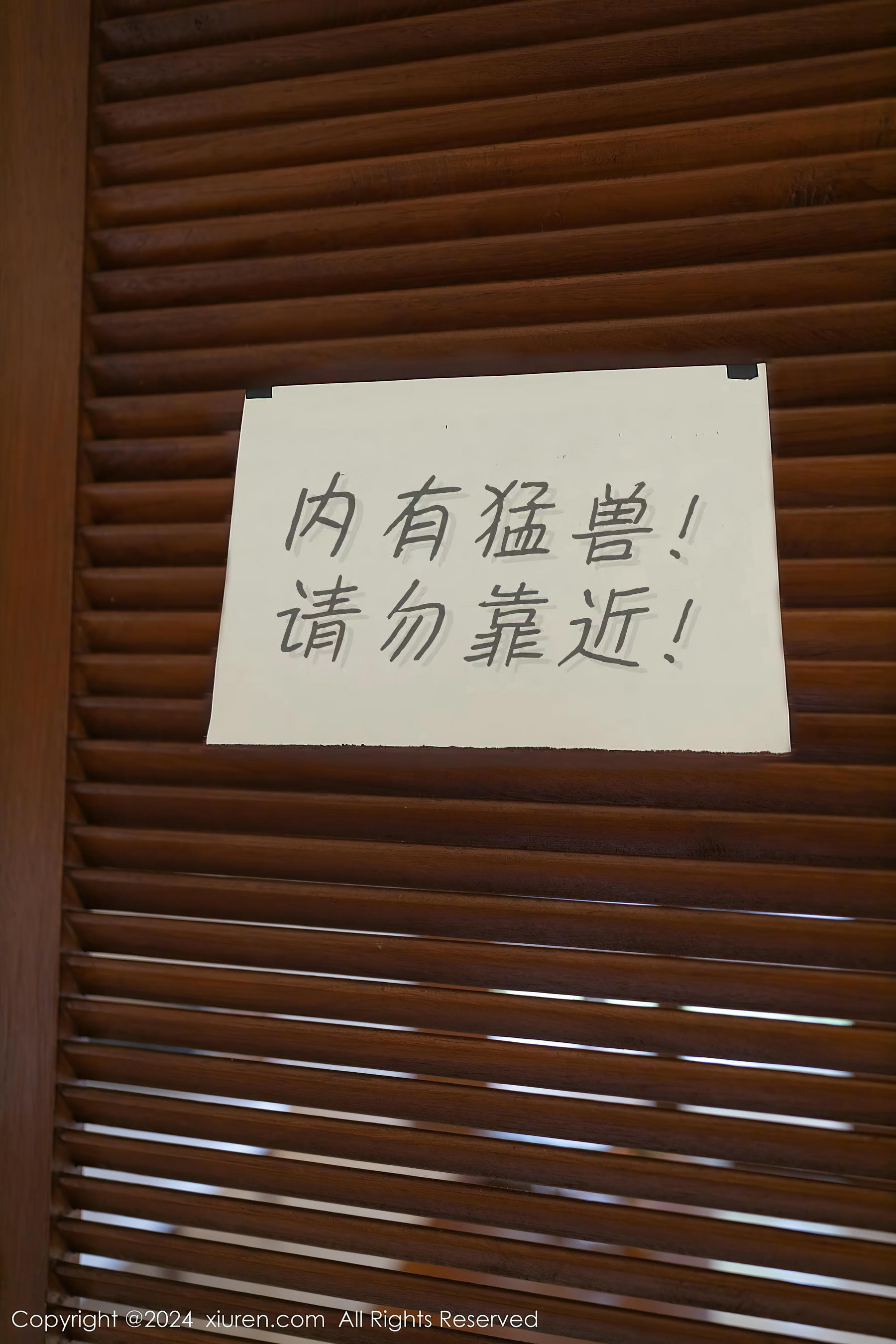 XIUREN秀人网 2024.01.26 NO.8029 幼幼[80+1P／675MB]_第1集