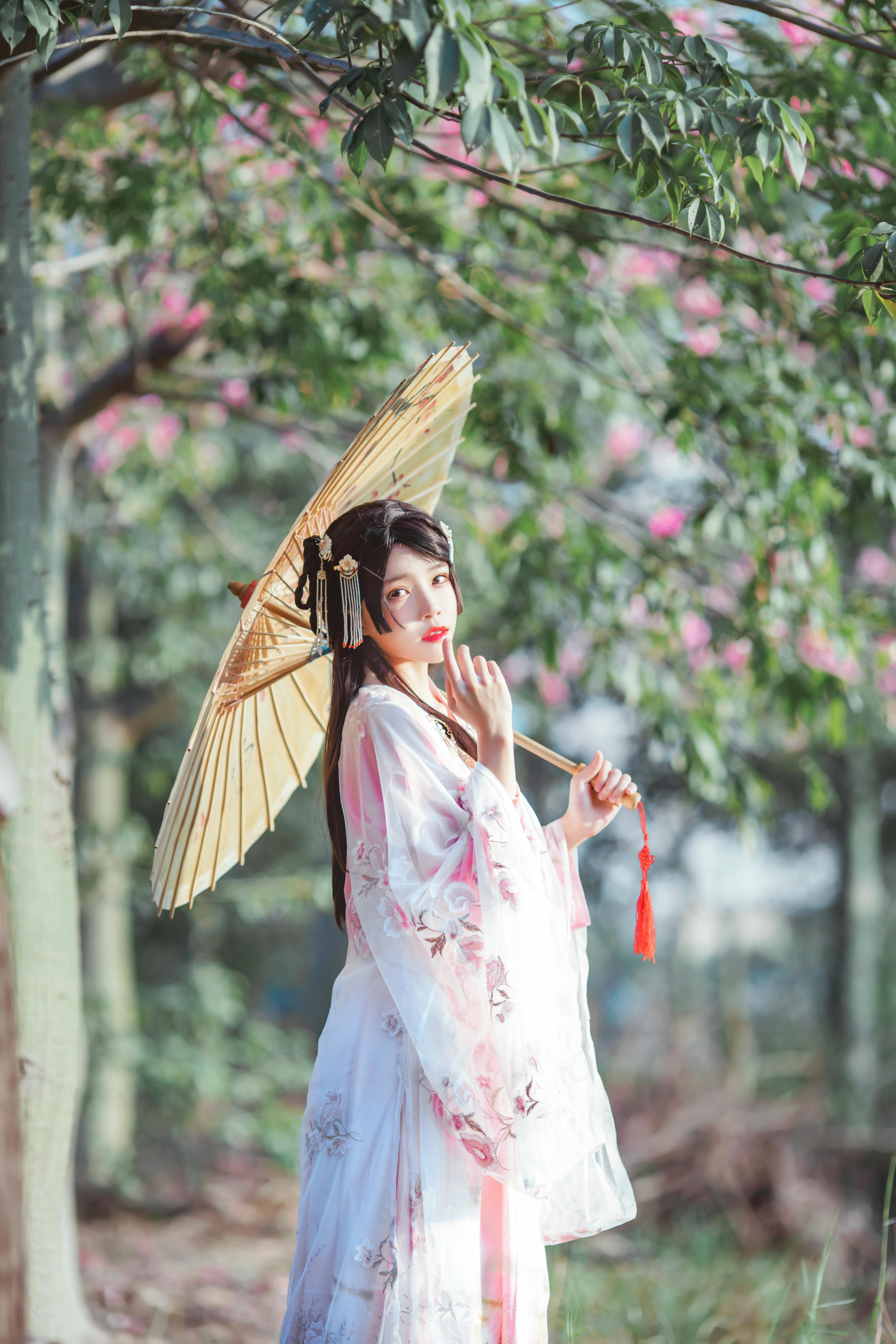 桜桃喵 NO.101 温柔 [53P-0.97GB]-桃花_第1集