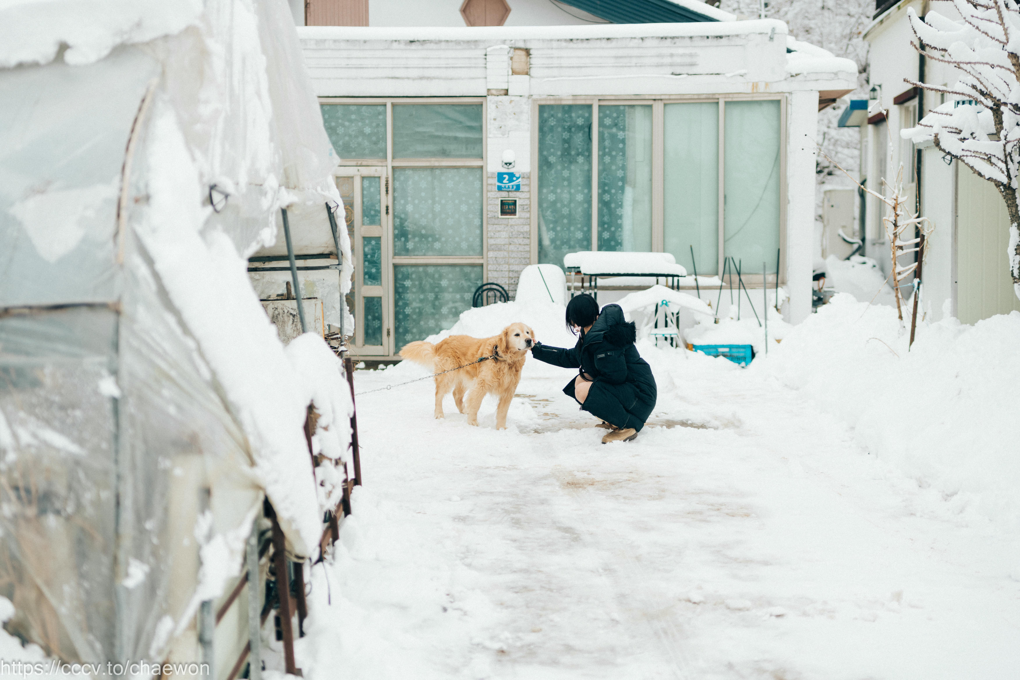 Zia (지아) NO.117 Loozy Snow girl [114P+1V／1.60GB]_第4集