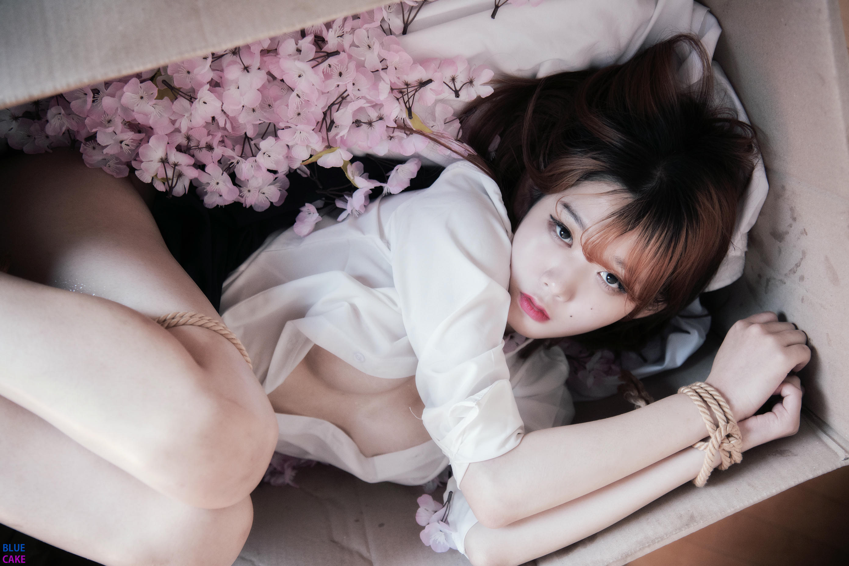 Zia (지아) NO.058 BLUECAKE Zia (지아) Your Gift Birthday [76P 869MB]_第3集