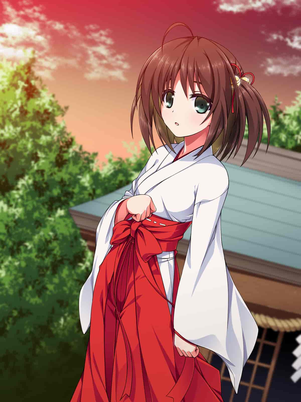 汉化版-[邀邀妻个人汉化] [ズガイコツマルダシ (伊万里)] 巫女落華 其の参 さくら編_第11集