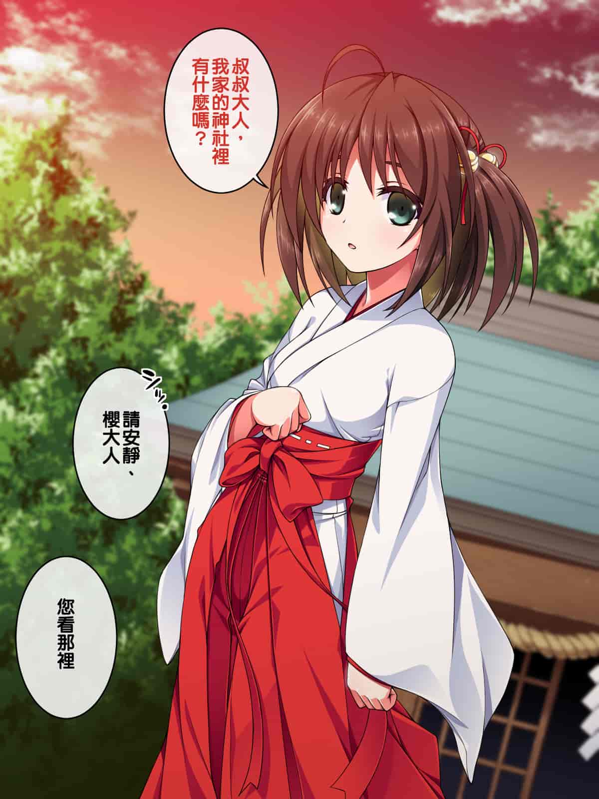 汉化版-[邀邀妻个人汉化] [ズガイコツマルダシ (伊万里)] 巫女落華 其の参 さくら編_第3集