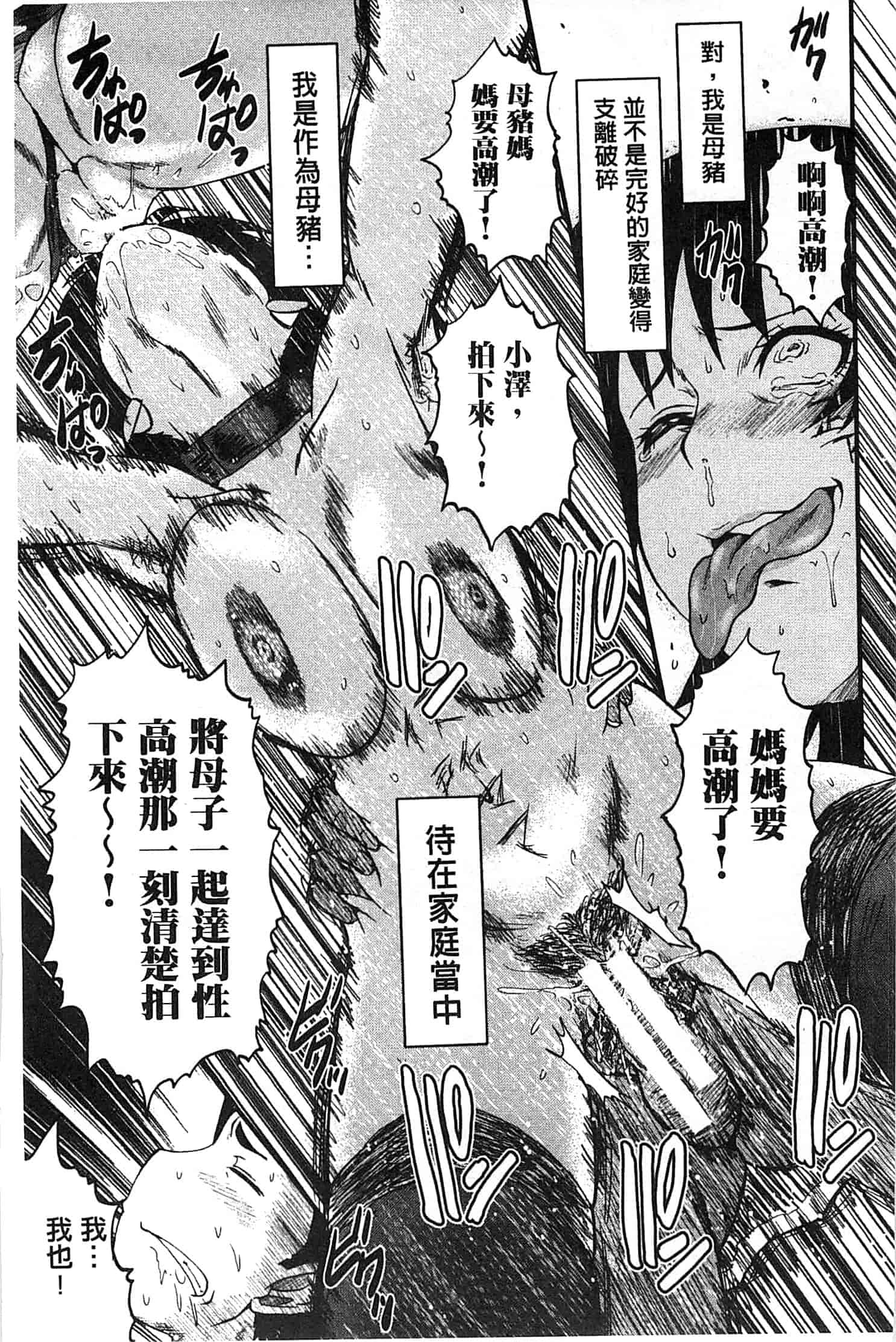 汉化版-[SINK] 君が知らないママの交尾_第5集