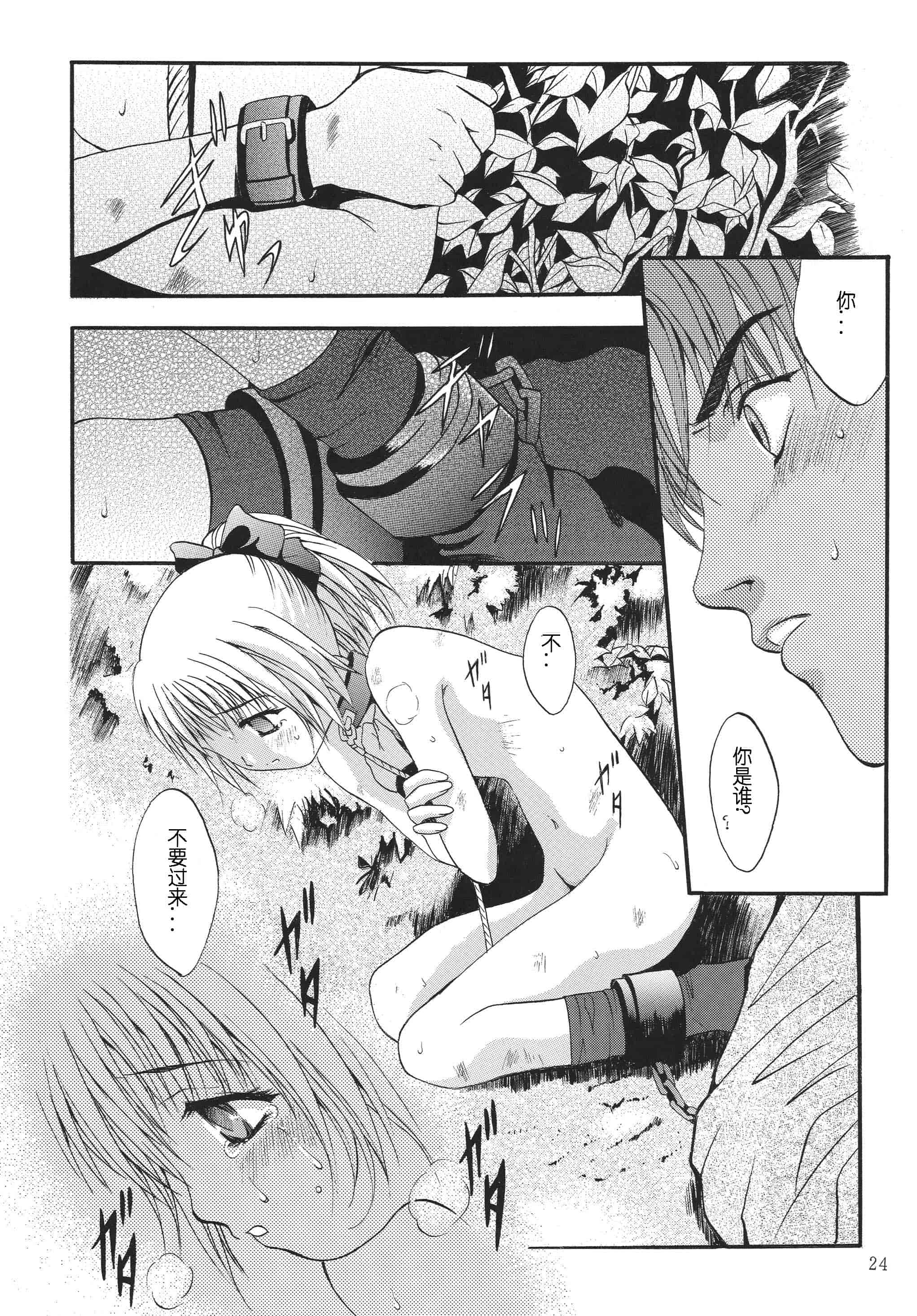 汉化版-[STUDIO BIG-X (ありのひろし)] ALICE 上巻 [FFT汉化组]_第1集
