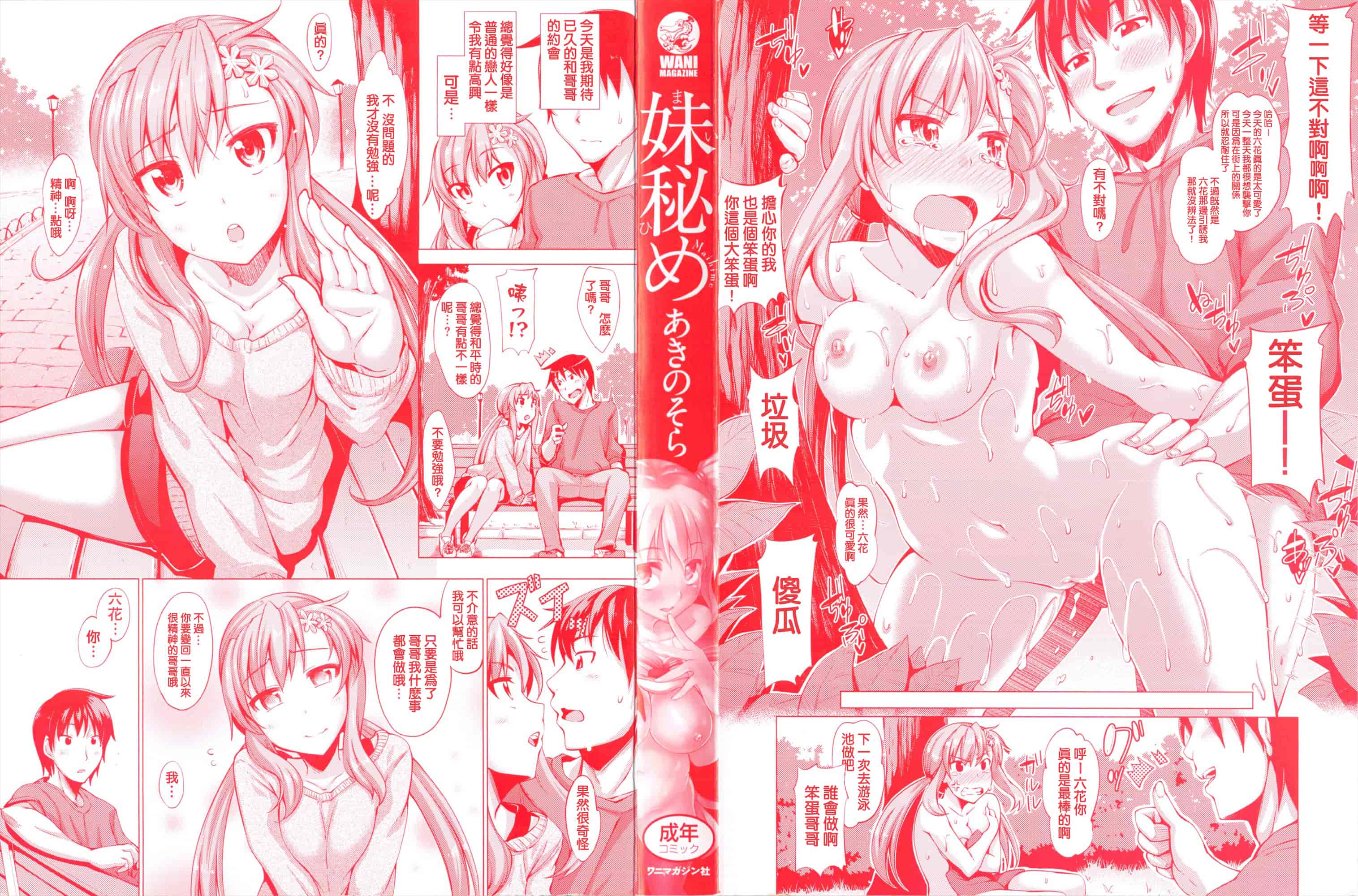 汉化版-[あきのそら] 妹秘め とらのあな特典付き [C]_第1集