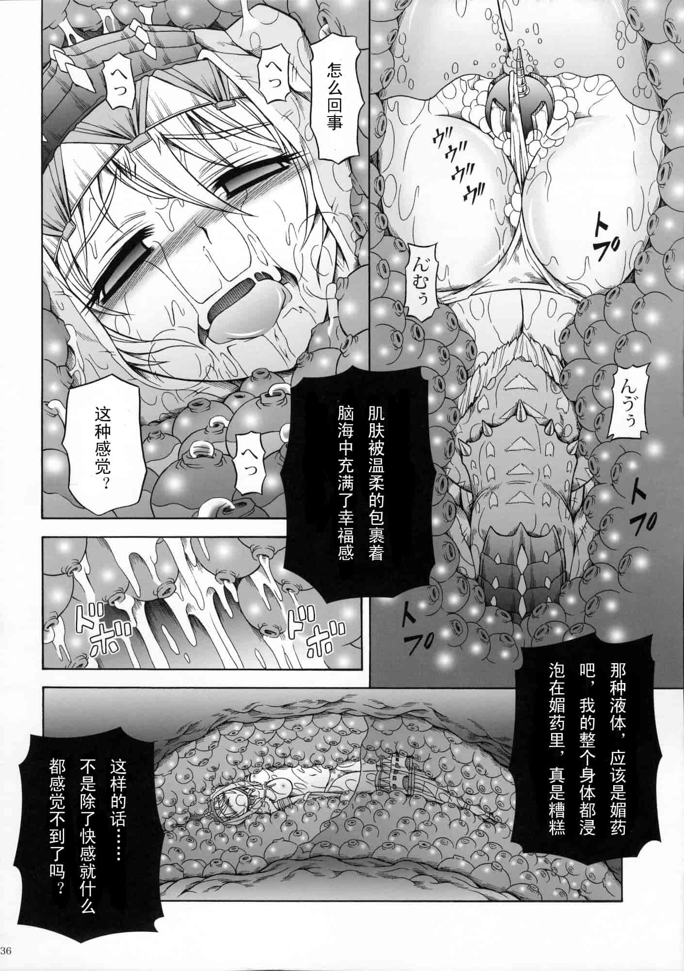 汉化版-[魔狩十織] ソロハンター達の生態_第5集