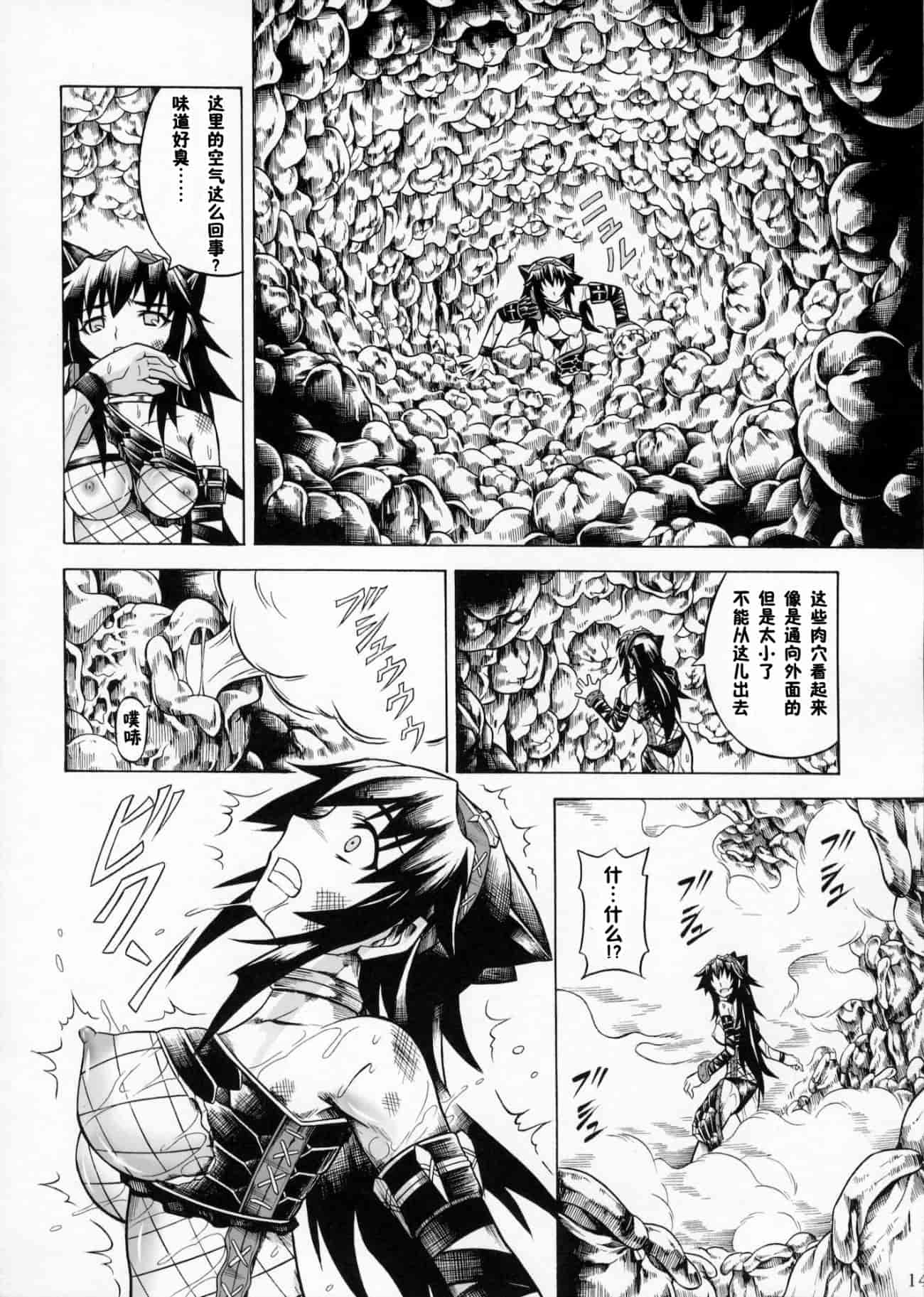 汉化版-[魔狩十織] ソロハンター達の生態_第2集