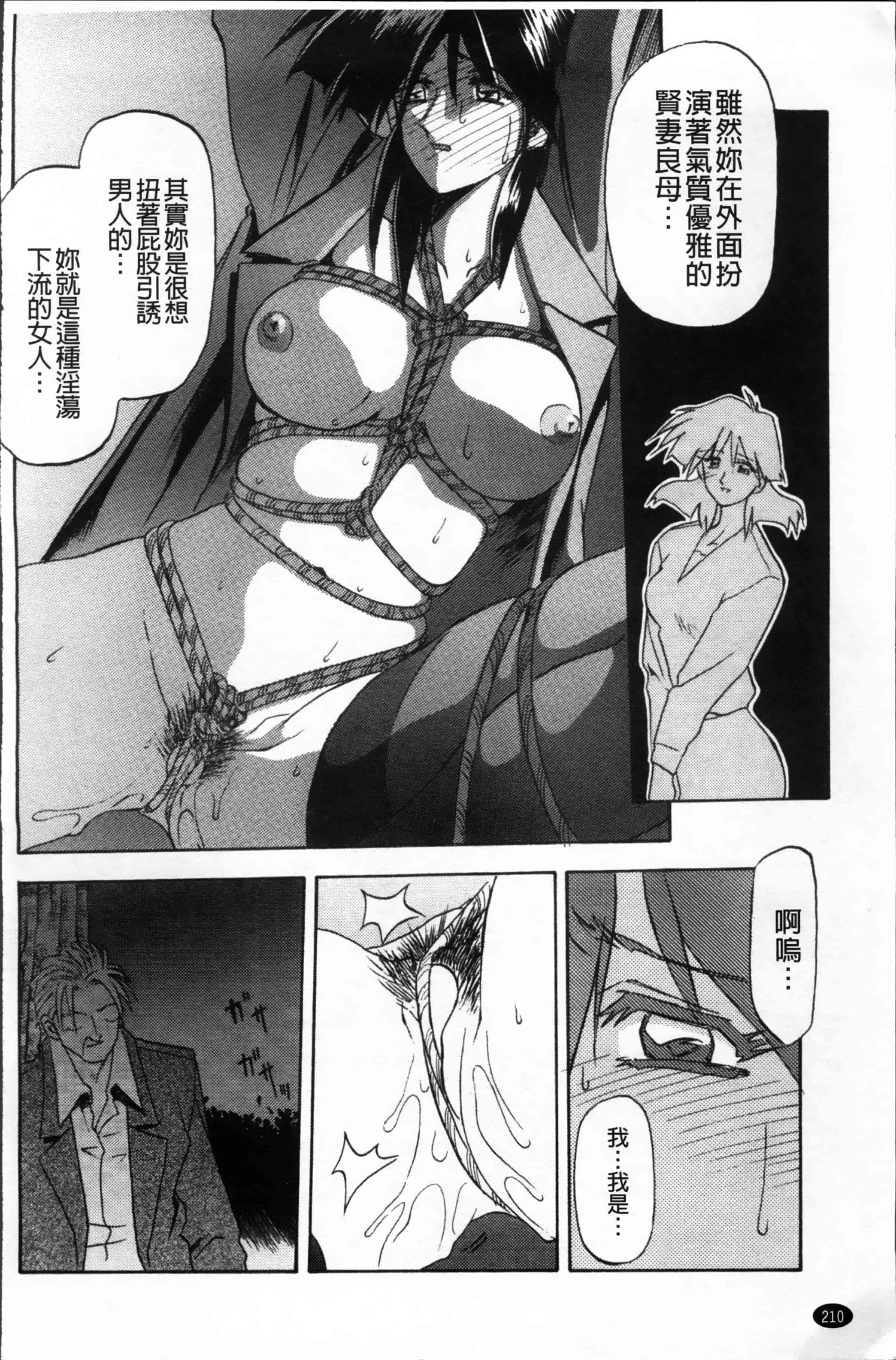 [山文京伝] 緋色の刻 完全版 [4K掃圖組]_第11集