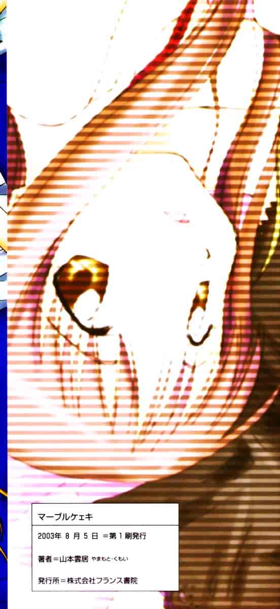 [山本雲居] マーブルケェキ[C]_第9集