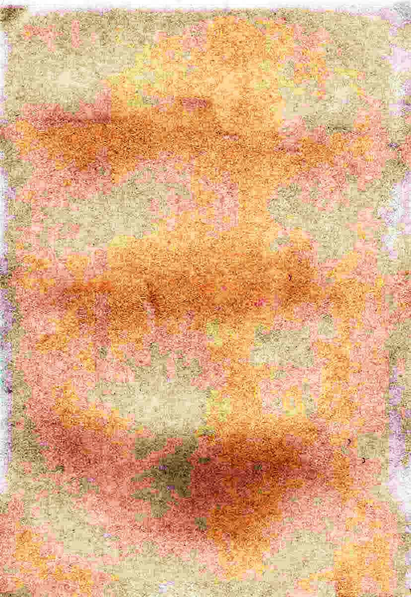 汉化版-[小島紗] 覚醒淫メイド_第1集