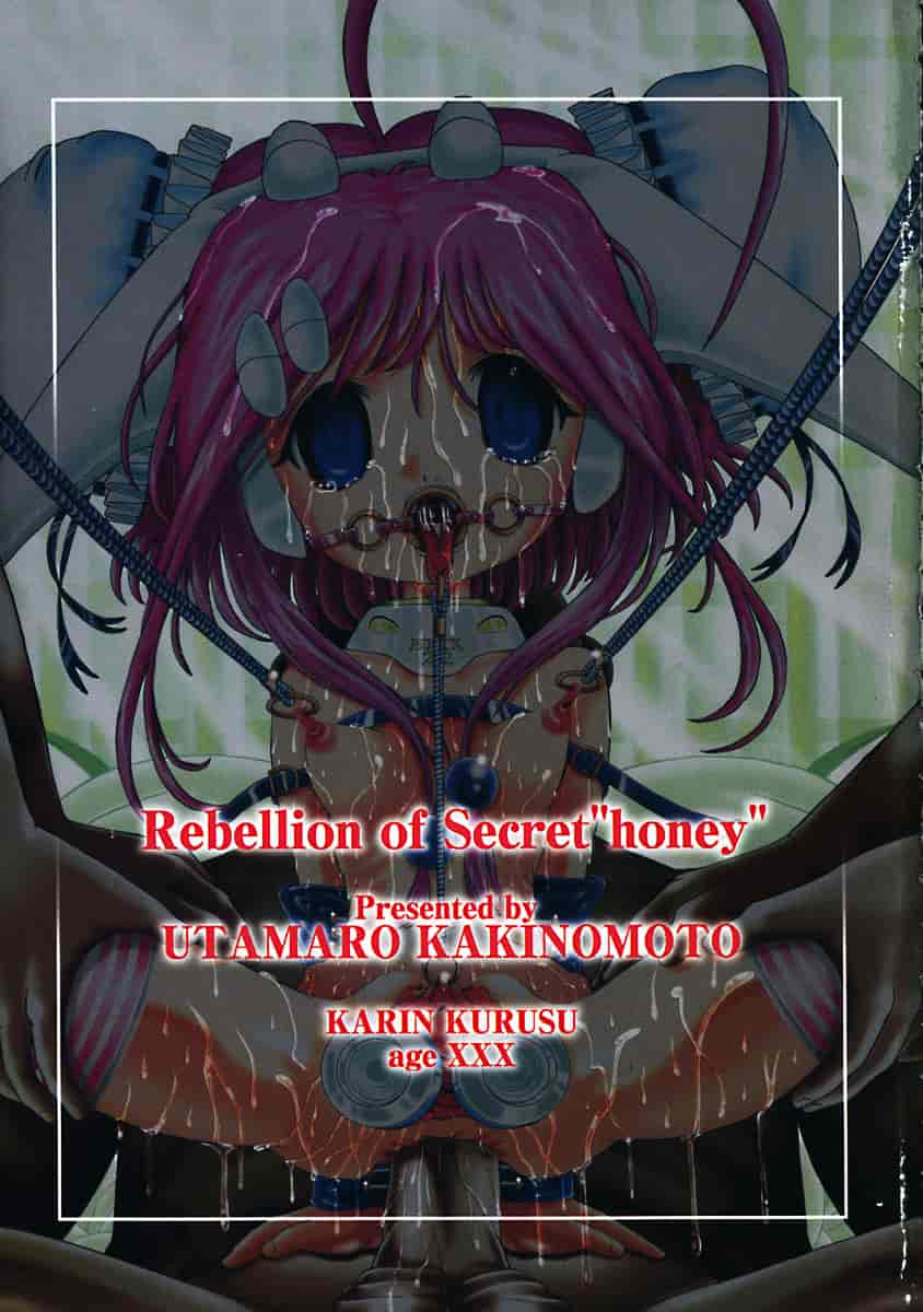 汉化版-[柿ノ本歌麿] 秘蜜の叛乱_第1集