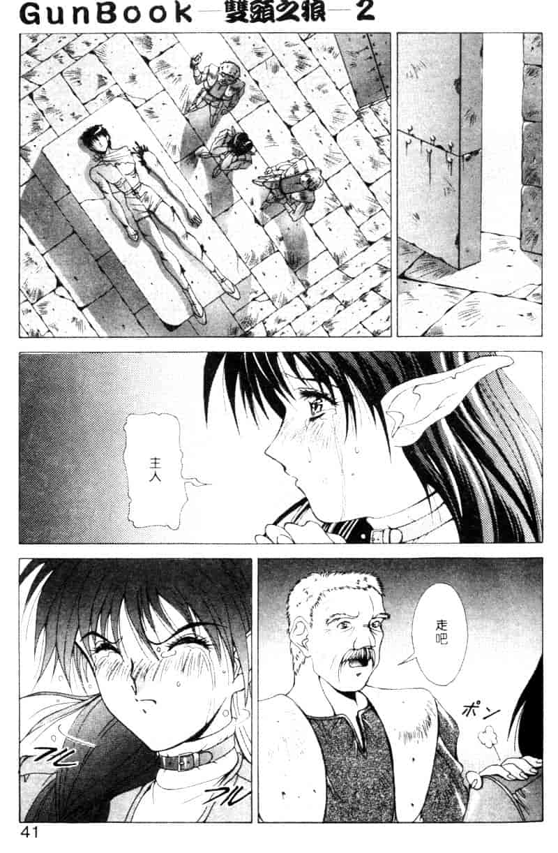 汉化版-[亜木祭] ガンブック-双頭の狼 2_第2集