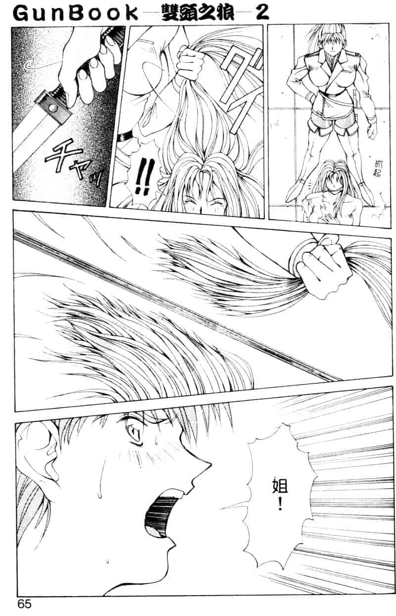 汉化版-[亜木祭] ガンブック-双頭の狼 2_第3集