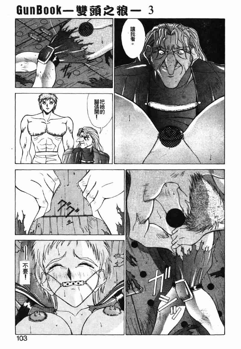 汉化版-[亜木祭] ガンブック-双頭の狼 3_第4集