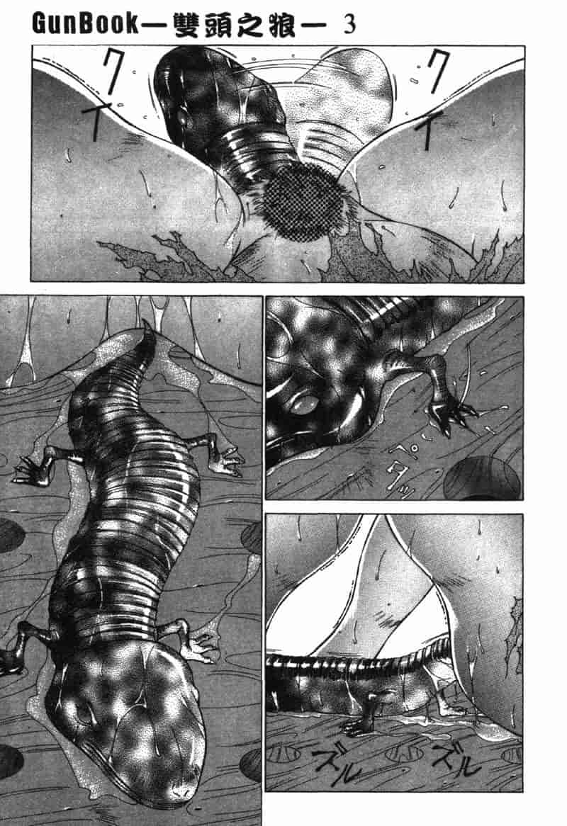汉化版-[亜木祭] ガンブック-双頭の狼 3_第5集
